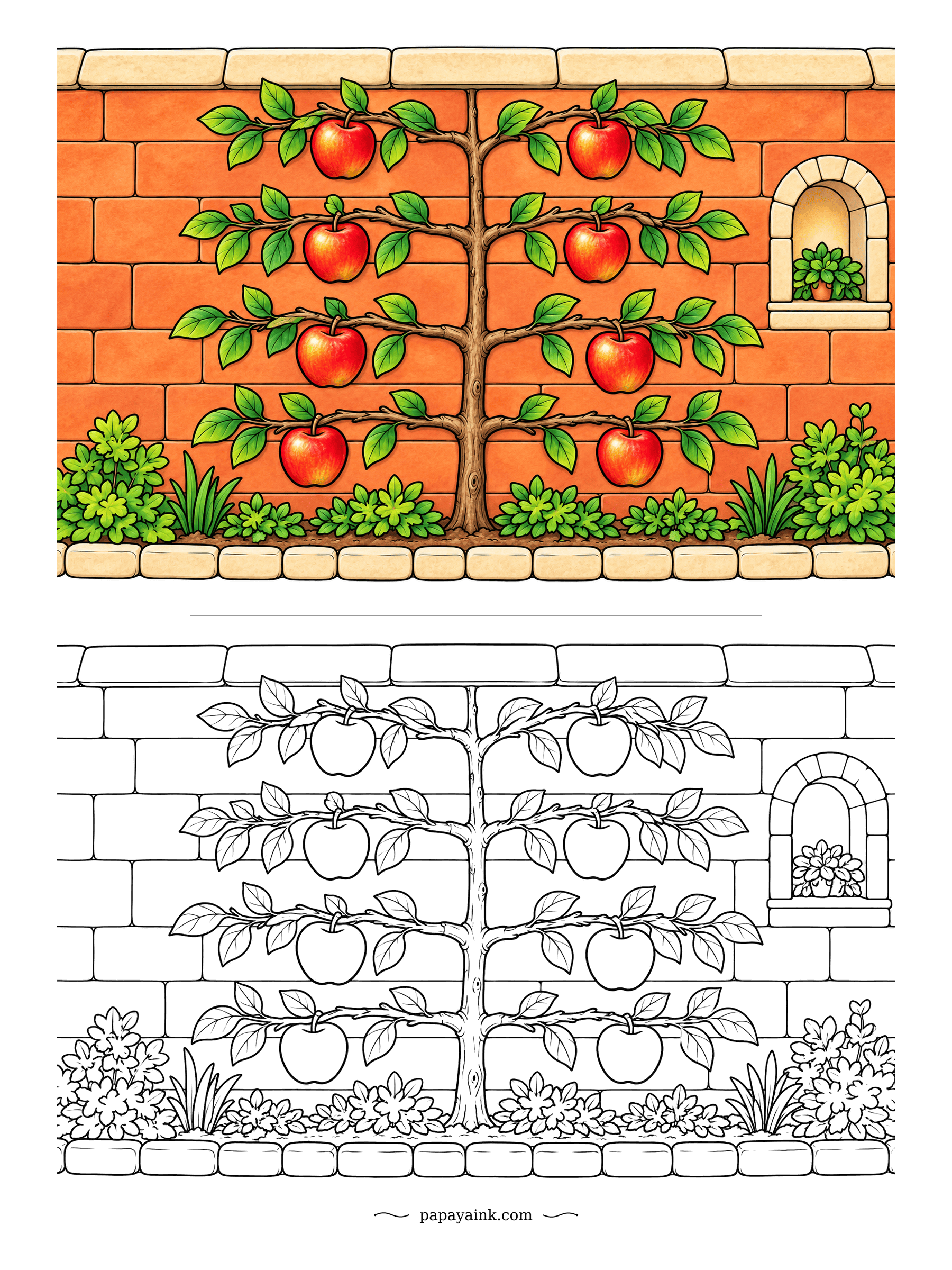 Apple Coloring Pages - A warm brick wall stores the day's heat and gives it back at night, which is why gardeners train apples flat against one. This tree has four tiers of fruit and a small niche for company. Terracotta bricks, cream coping stones.