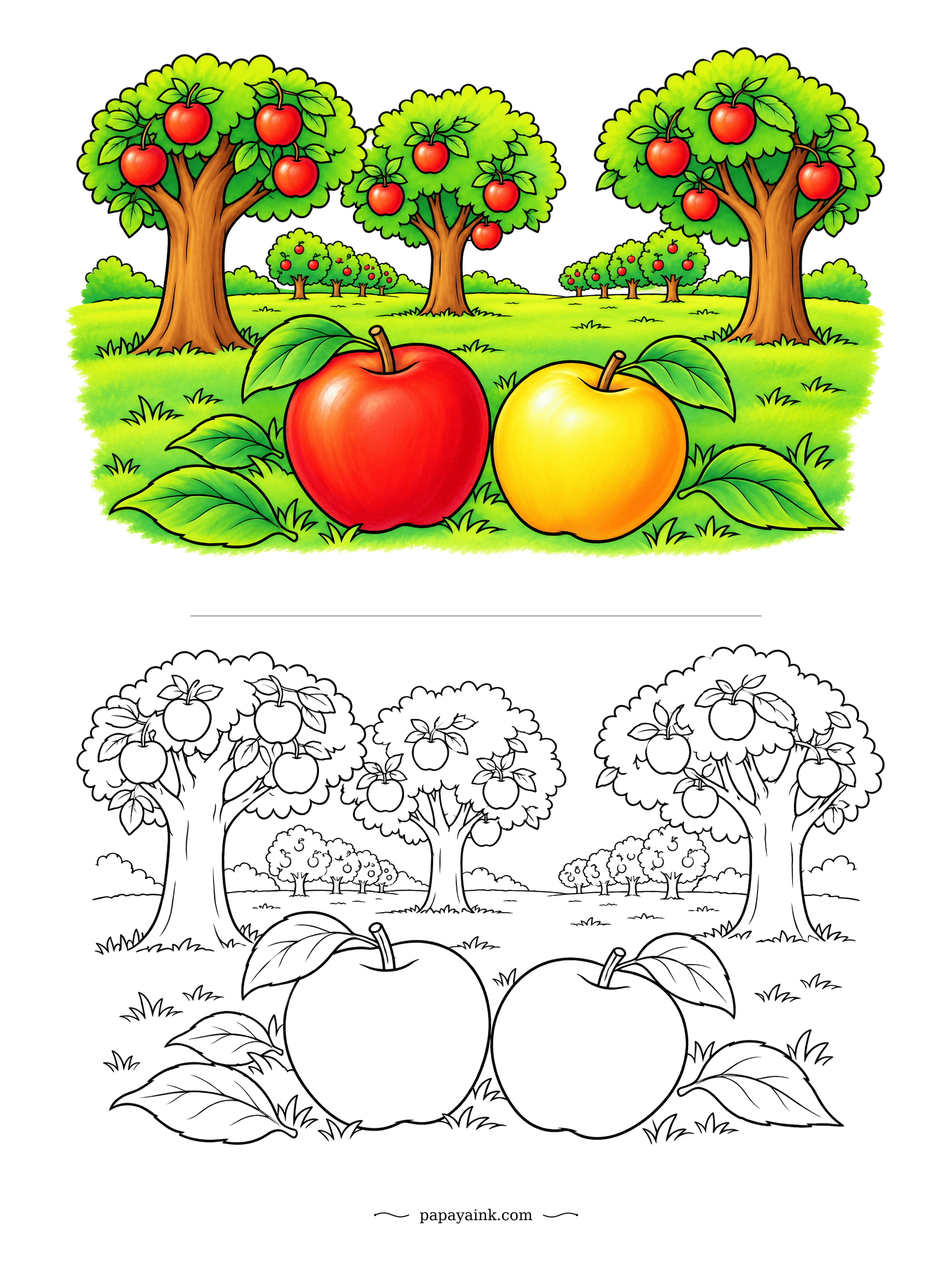Apple Coloring Pages - At grass level, a pair of apples looks as big as the trees behind them. One crimson, one golden, foliage fanned out around them. Big open shapes and little else - an easy sheet to try smooth blending.