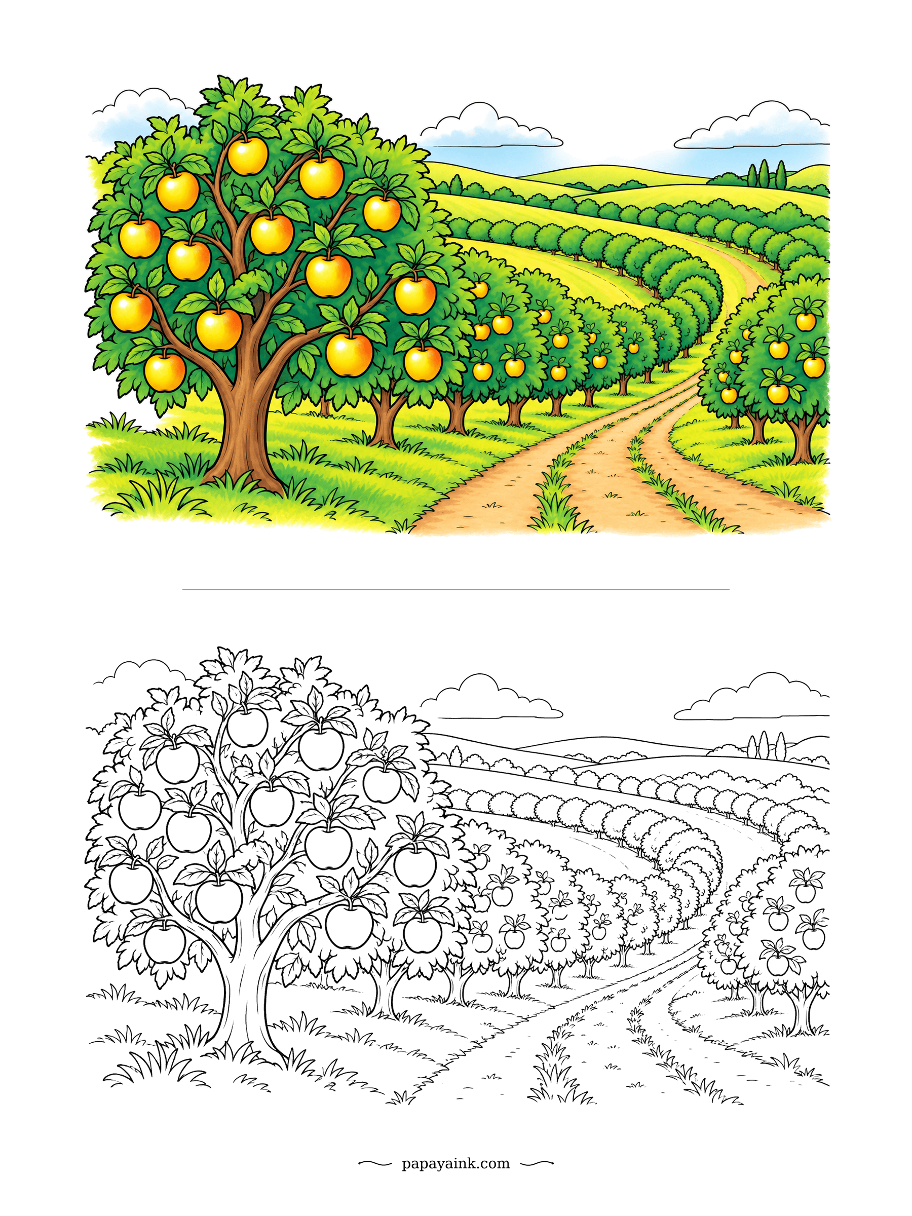 Apple Coloring Pages - Planting along the contour lines, rather than straight up the slope, slows rainwater and holds the soil in place. Here the rows bend with the hills and a farm track follows them. Golden apples on the finished sample; scarlet works just as well.
