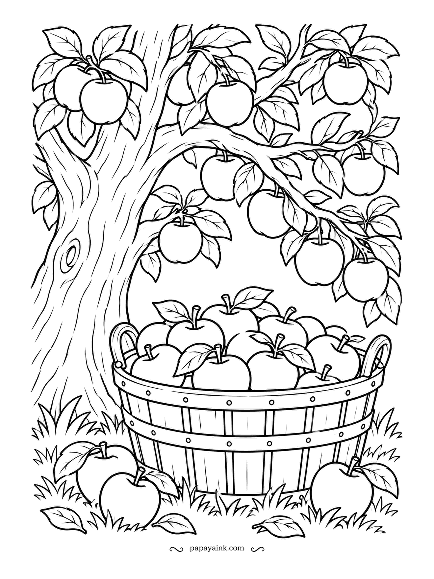 Farm Coloring Pages - Apple tree bending its low branches over a bushel basket already heaped with fruit, a few apples resting in the grass where they landed on their own. Mix reds and a yellow or two with the unripe ones; an orchard never ripens all at once.