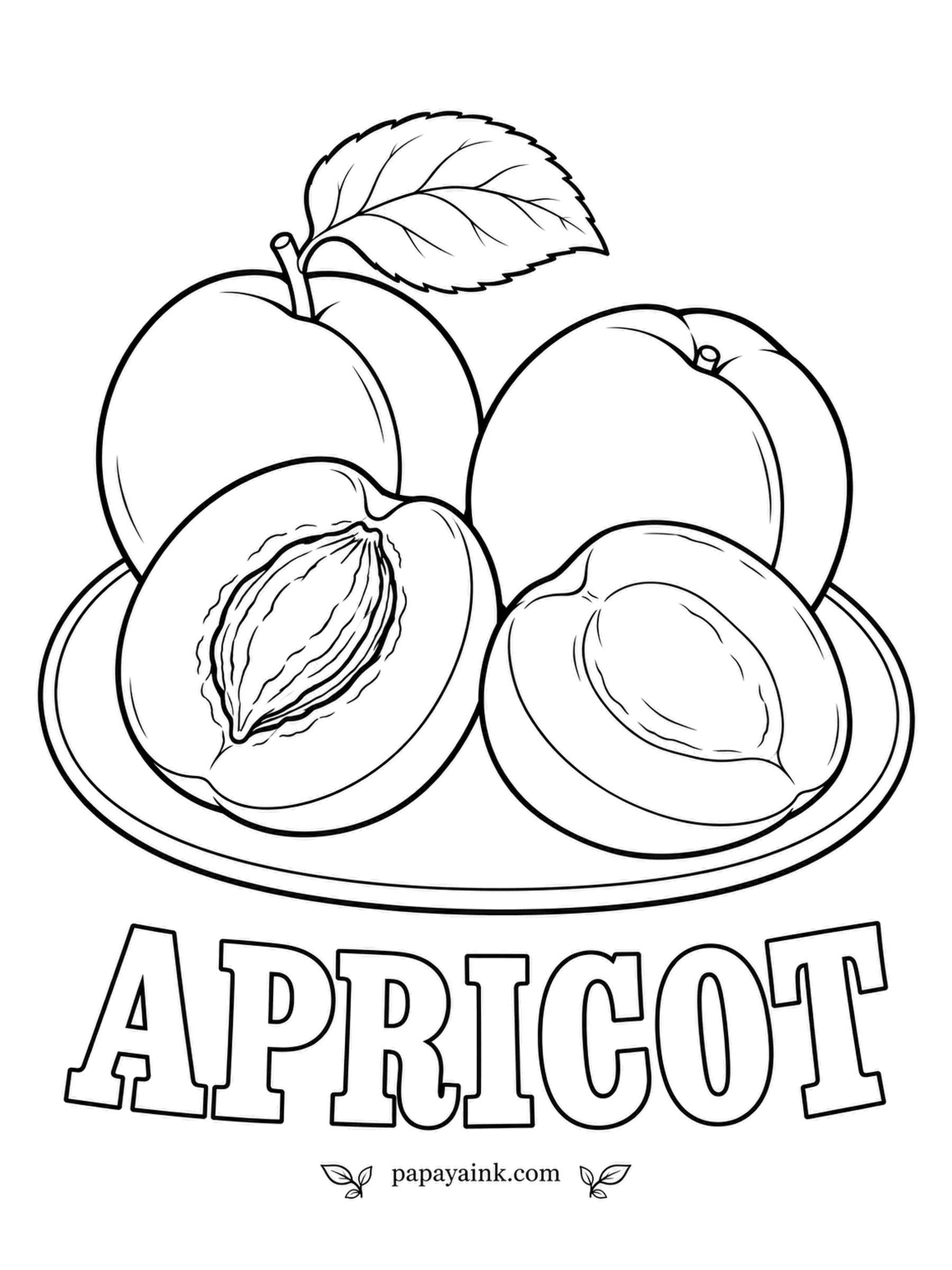 Printable Fruit Coloring Pages - Two apricots still on the branch and a third split open around its ridged stone. Real apricot skin is velvet, not glossy, so go for a matte orange with a faint blush on the sunny side and no highlights.