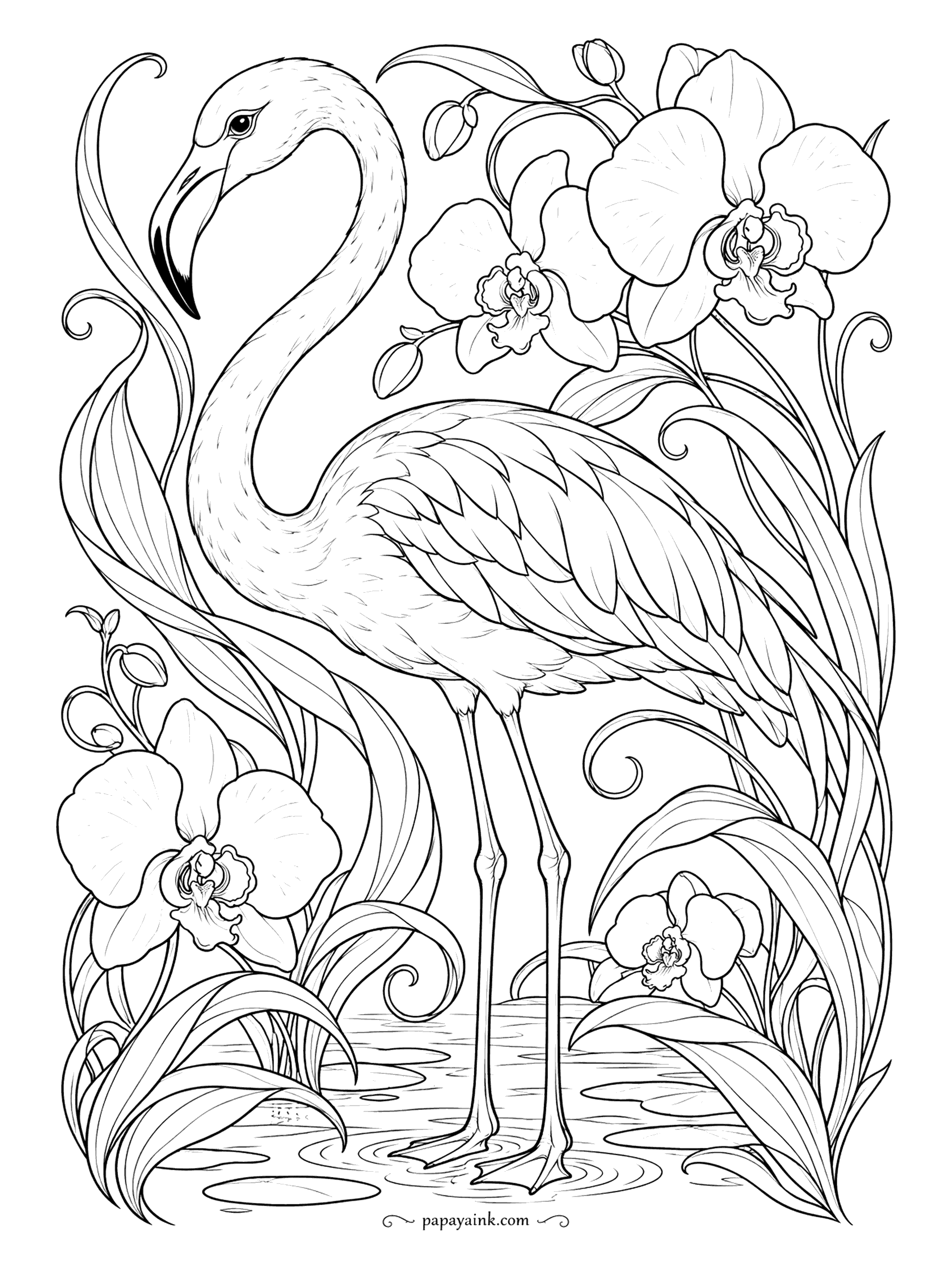 Flamingo Coloring Pages - The orchids here have the big flat petals of a moth orchid, and the stems curl into the whiplash lines that art nouveau loved. The bird's neck answers the same curve. Muted mauves and sage read as period-correct. Detailed.
