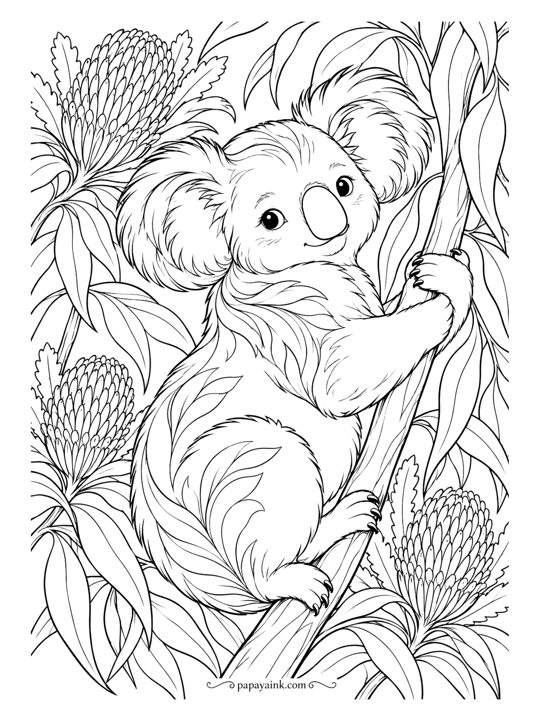 Koala Coloring Pages - Banksia cones and long curling leaves wrap around this koala in true Art Nouveau fashion, every line flowing into the next. Muted golds, olives and dusty rose suit the style. Detailed.