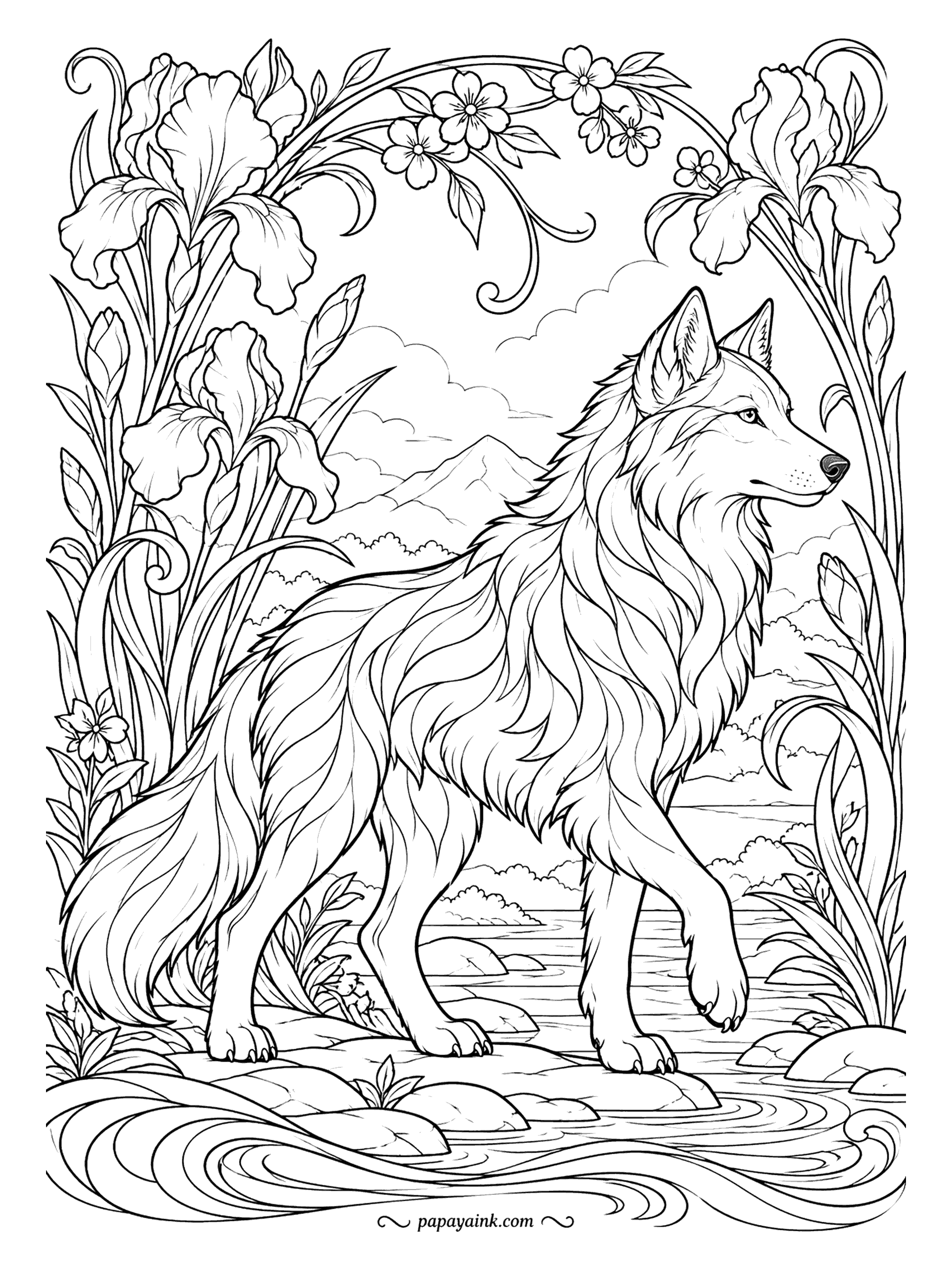 Wolf Coloring Pages - Tall irises and a flowering vine arch over a wolf stepping across a stream, Art Nouveau style. The long curling lines of fur and petals call for jewel tones inside a dark outline. Detailed.