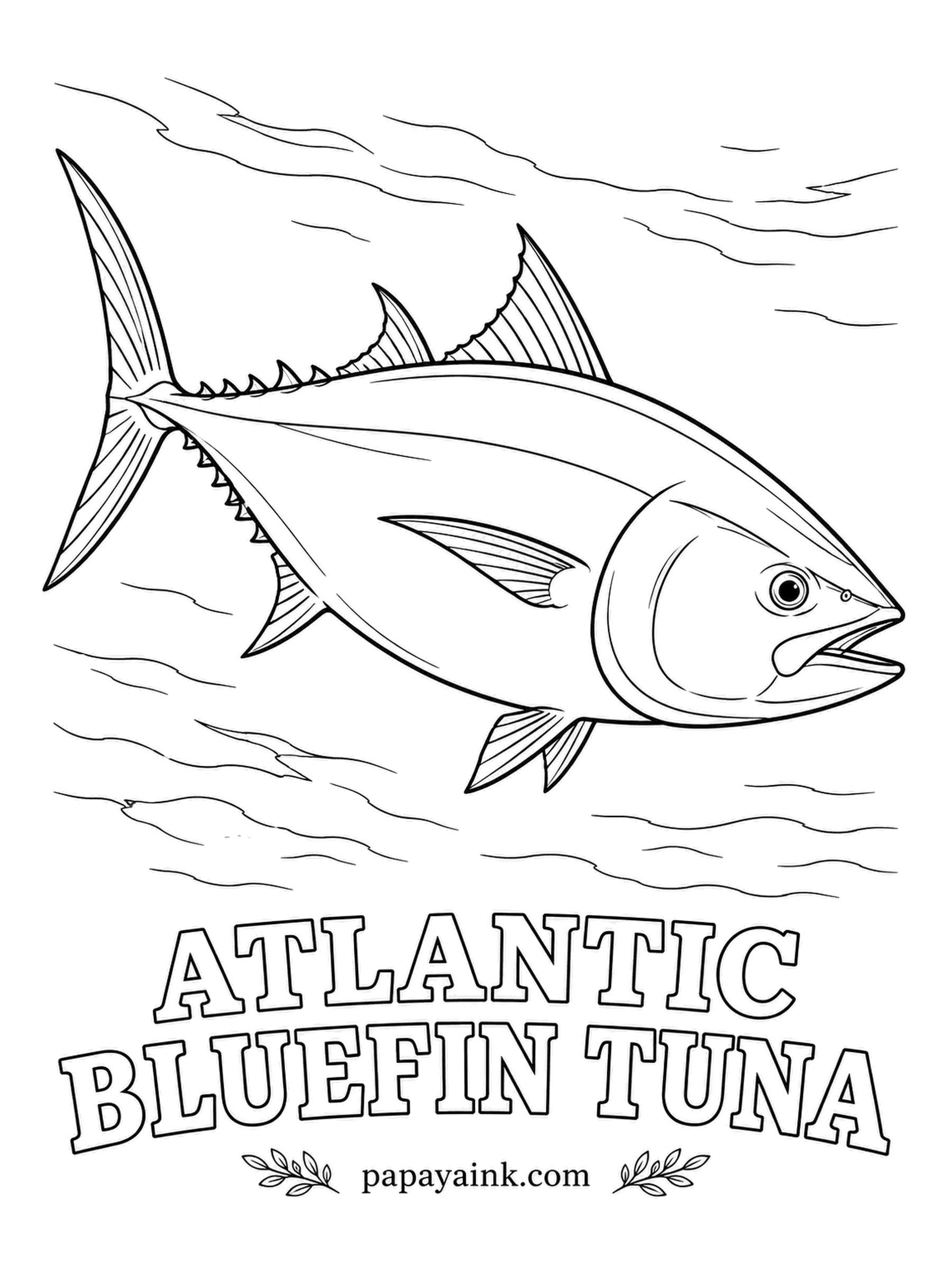 Ocean Fish Coloring Pages - Warm-blooded in a way few others are, the bluefin keeps its muscles well above the temperature of the ocean around it, which lets it cross the Atlantic and dive into cold depths. Metallic navy on top, silvery below, a row of yellow finlets.