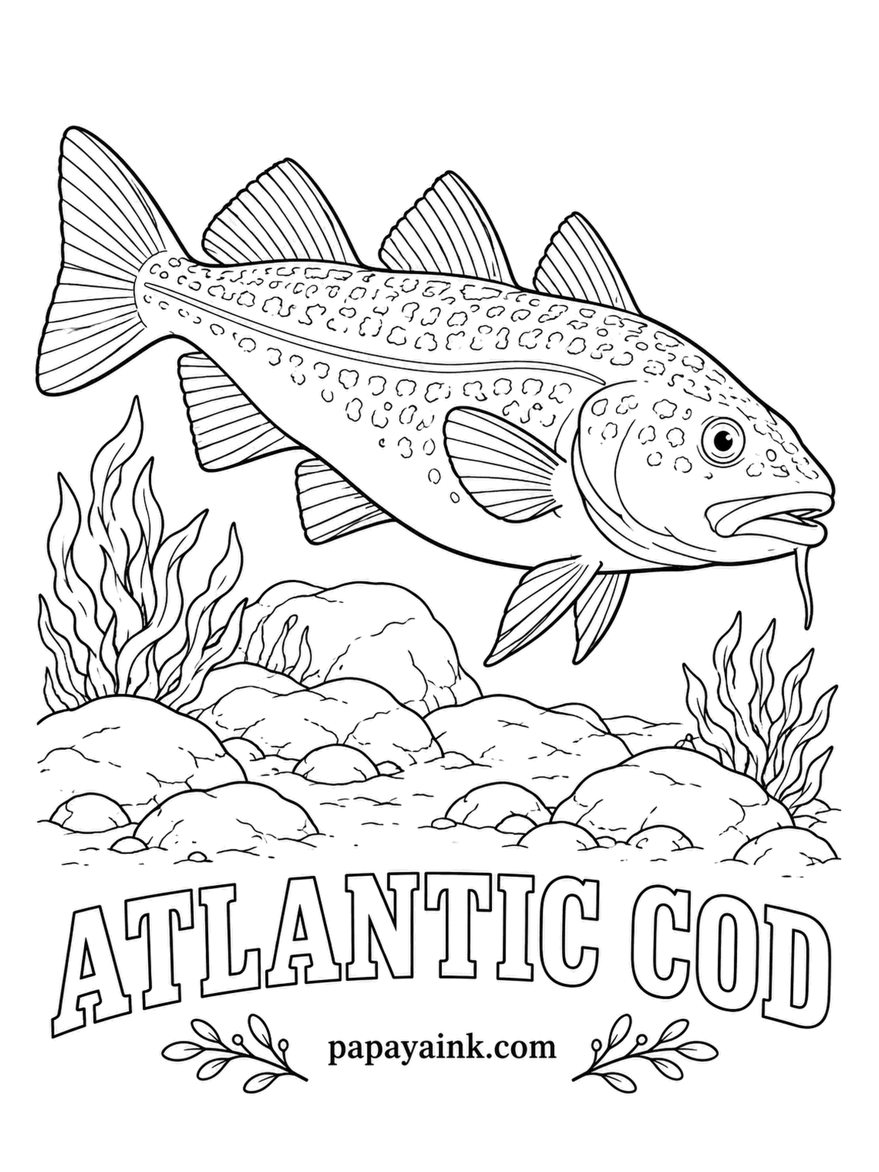 Ocean Fish Coloring Pages - Cod paid for whole New England towns, and a carved wooden cod still hangs in the Massachusetts State House. The chin barbel helps it find food on murky bottoms. Olive to reddish brown with darker freckles and a pale lateral line.
