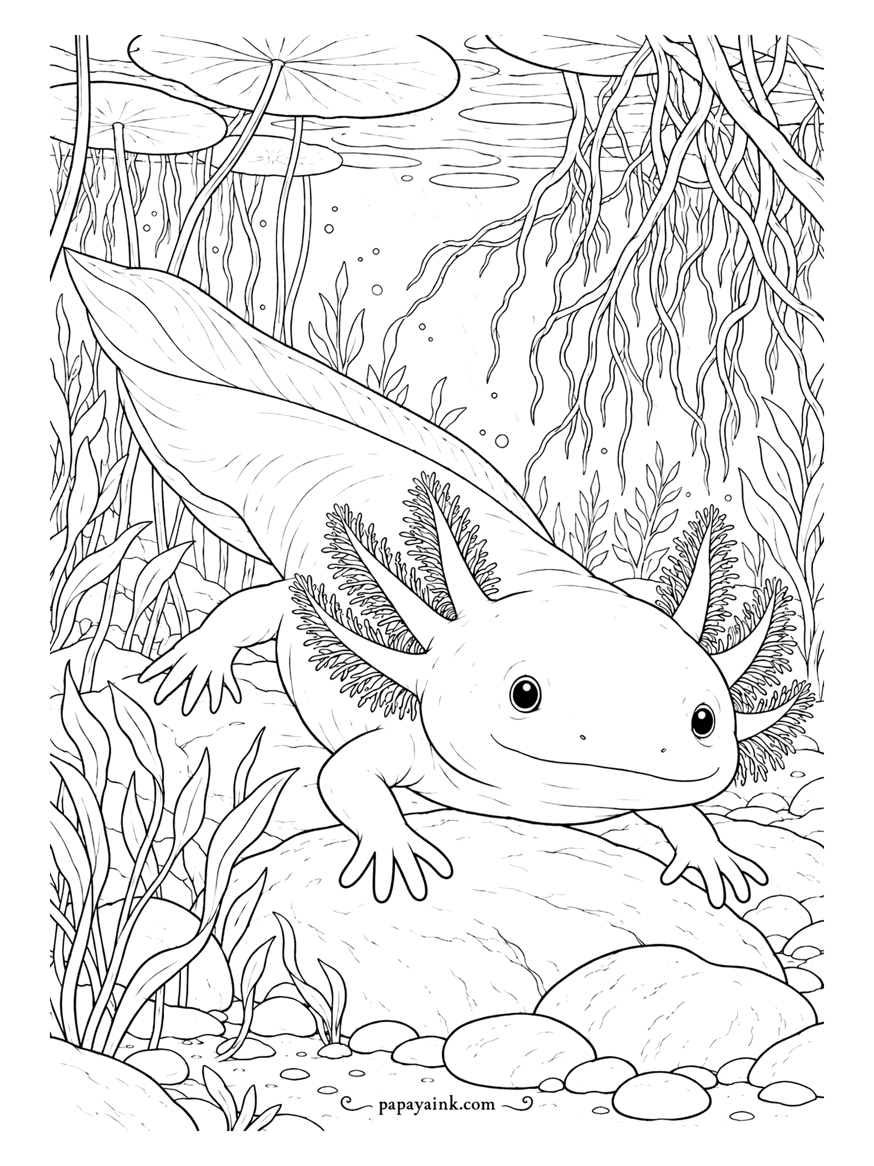 Axolotl Coloring Pages - Light comes down in bars through the lily pads and lands on an axolotl resting on a boulder, tangled roots hanging all around her. Detailed - long grass and fine root lines everywhere; use sharp pencils and a faint wash for the rays.