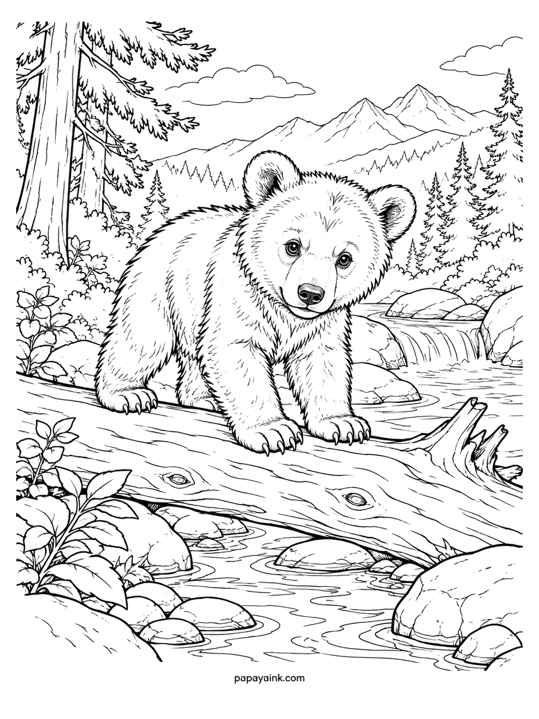 Baby Animal Coloring Pages - Crossing a fallen log above a stream, the cub checks the water before it commits. Brown bear cubs stay with the mother for two or three years, learning exactly this. Coat drawn stroke by stroke, pines and a ridge beyond. Detailed.