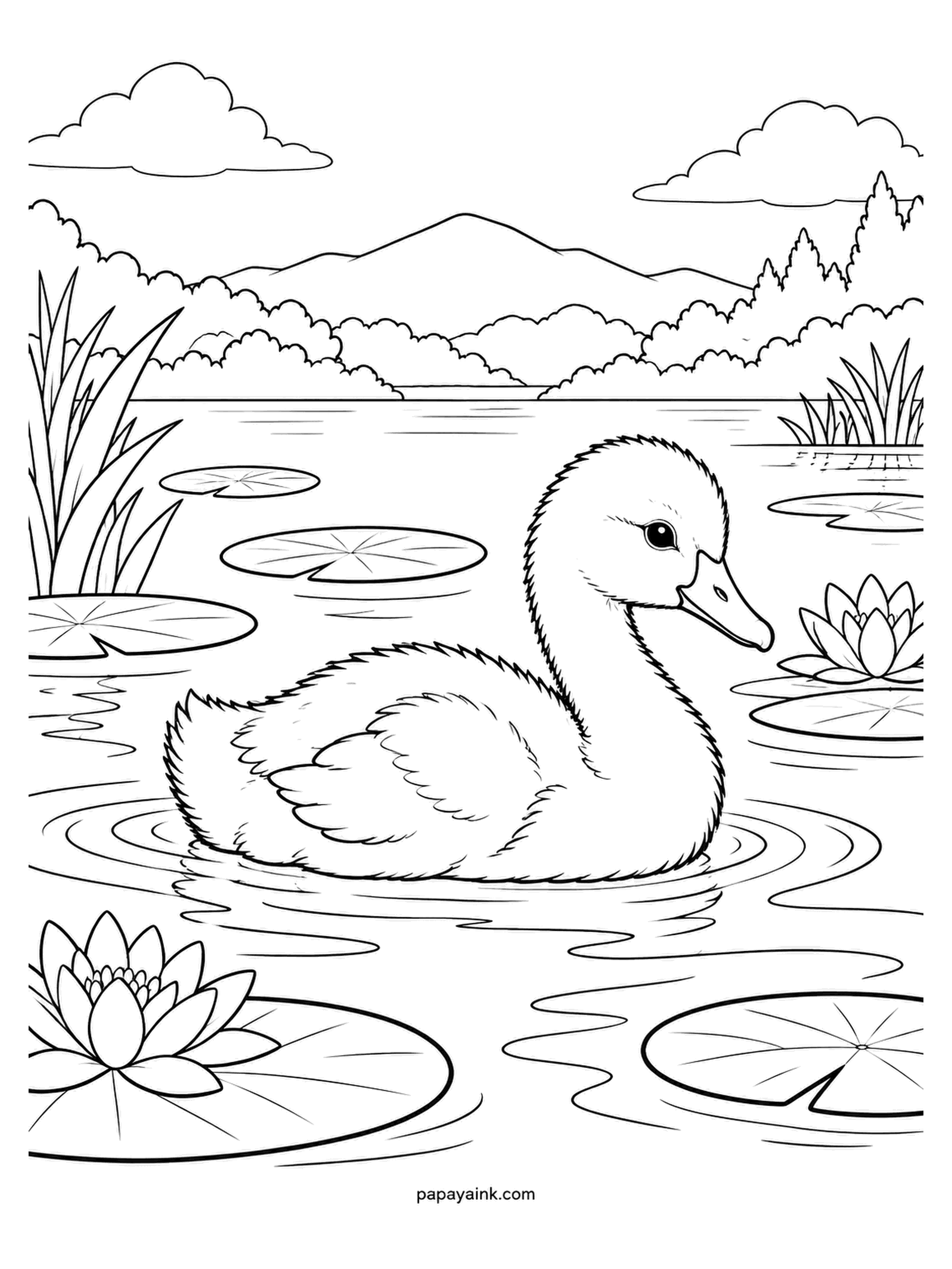 Baby Animal Coloring Pages - Alone on the lake with mountains behind, the cygnet rides high in the water as all young swans do. Cygnets are called that from the Latin for swan. Pale grey down, a slate beak, and ripples in two blues. Detailed.