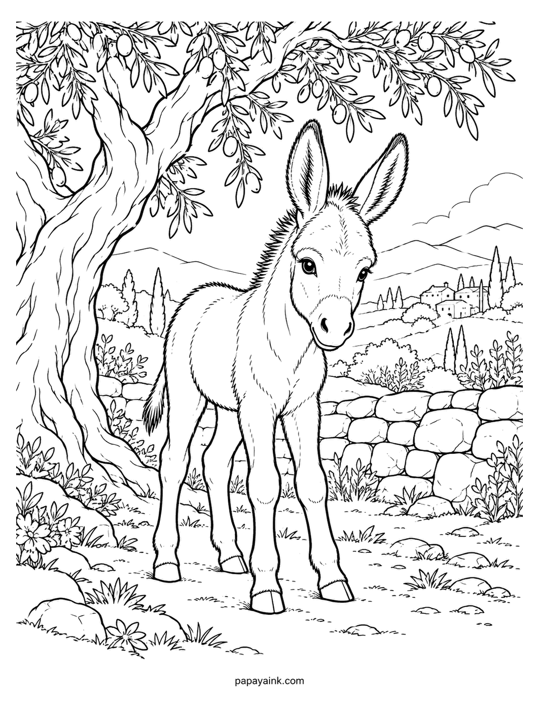 Baby Animal Coloring Pages - Stopped in an olive grove to look straight at you, this donkey foal shows the classic markings: a dark cross along the shoulders and a pale muzzle. Lots of fine texture in the bark and the stone wall - Detailed.