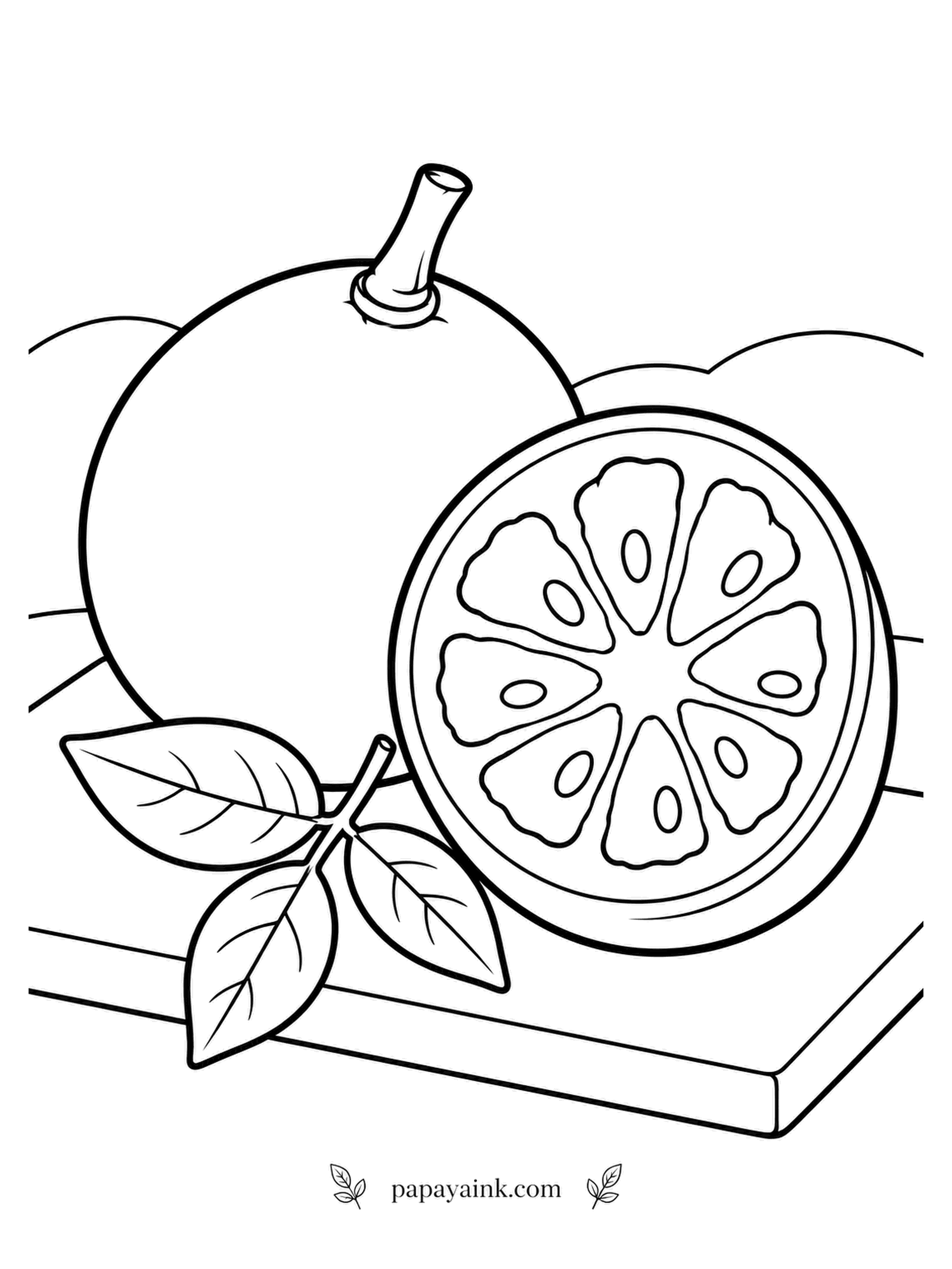 Fruit Coloring Pages - A hammer is the usual way into a bael, whose shell is hard as wood. Inside waits a fragrant orange pulp that in India is stirred into a cool summer drink. On the garden board, the cut half shows the segments; note the leaf, which grows in sets of three. Grayish yellow-green shell, sunset orange within.