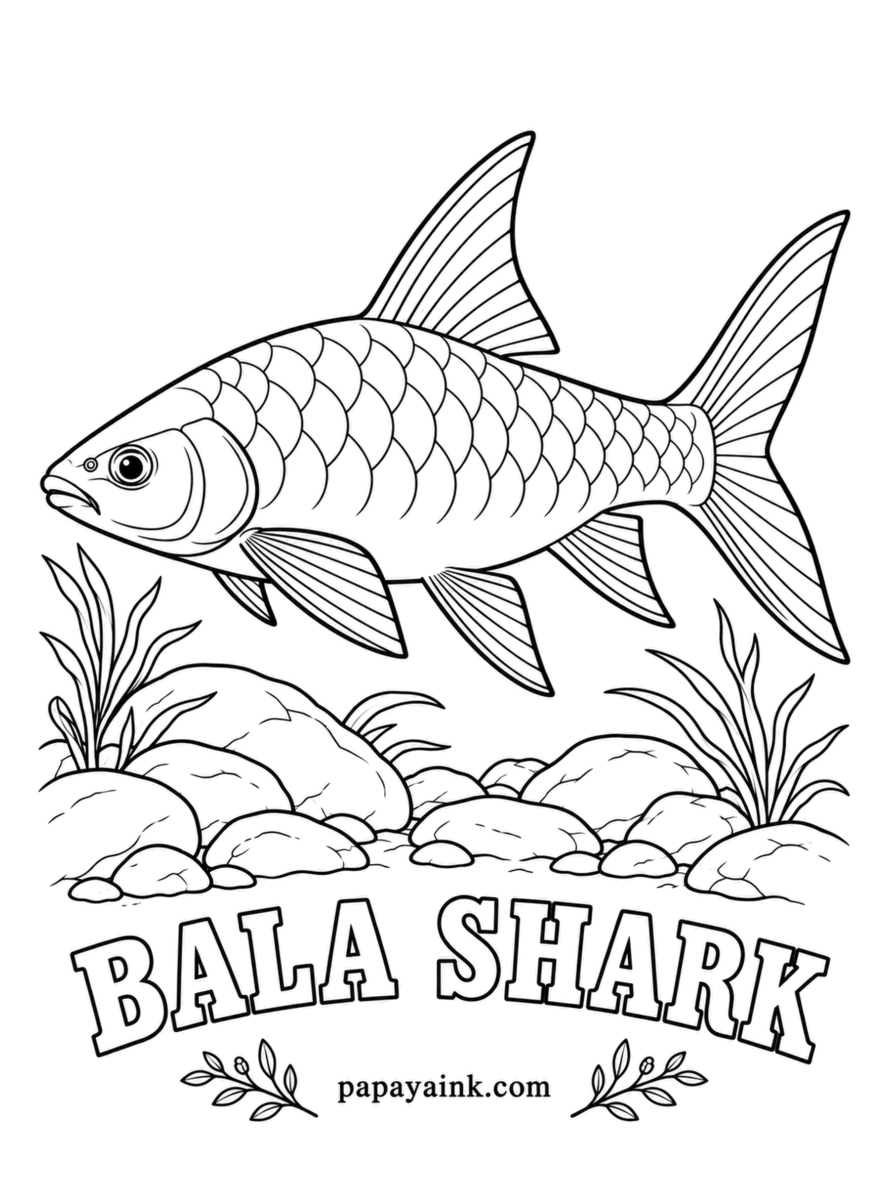 Aquarium Fish Coloring Pages - Despite the tall dorsal fin and the shark label, the bala shark is a minnow from the rivers of Borneo and Sumatra, and it can grow past a foot long. Color the fins pale yellow and outline each one in black.