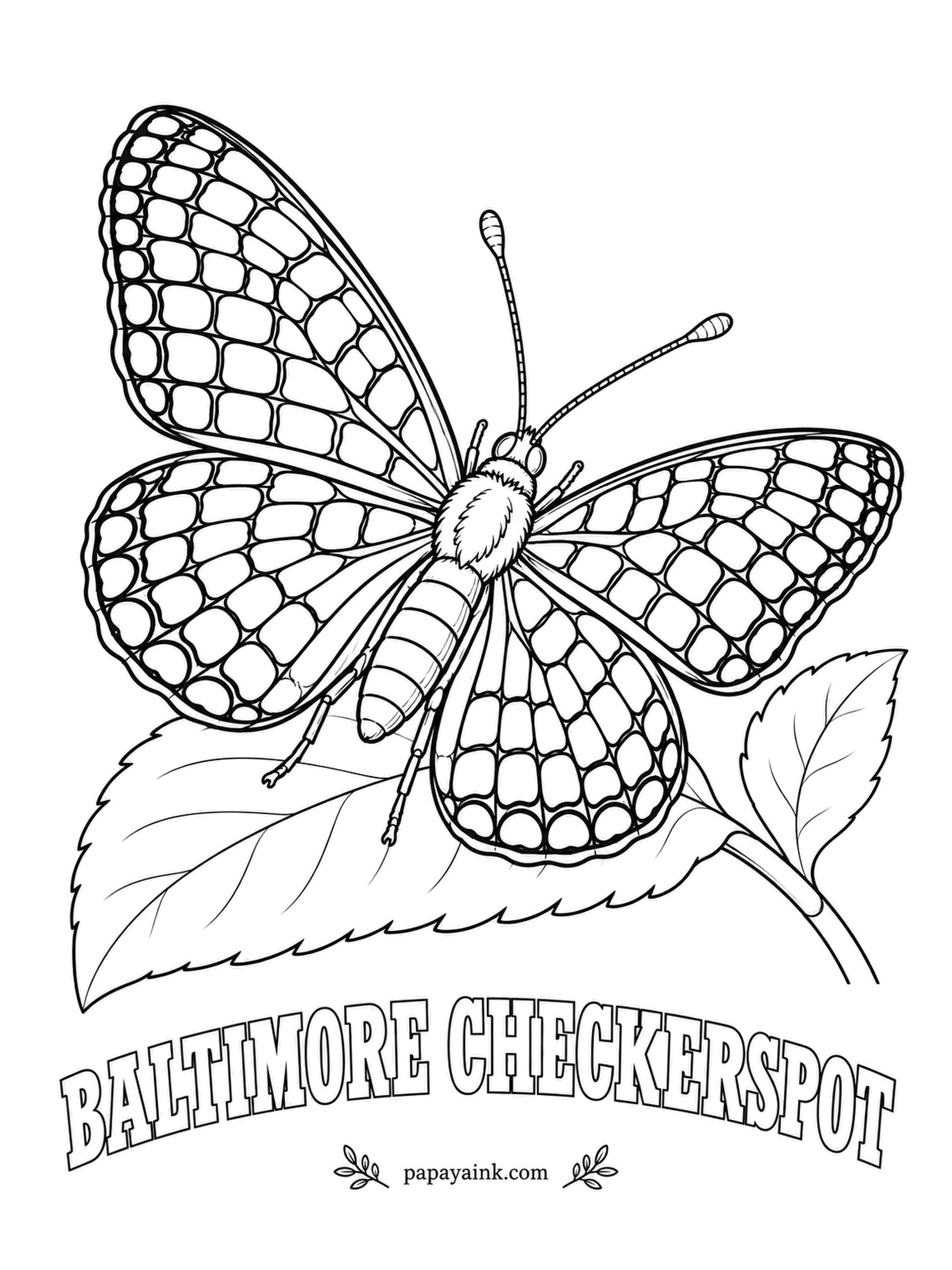 Butterfly and Moth Coloring Pages - Maryland chose this checkerspot as its state insect because it wears the colors of the Baltimore family crest: black, orange and gold. Each cell of the checkerboard gets its own color, so take it slowly.