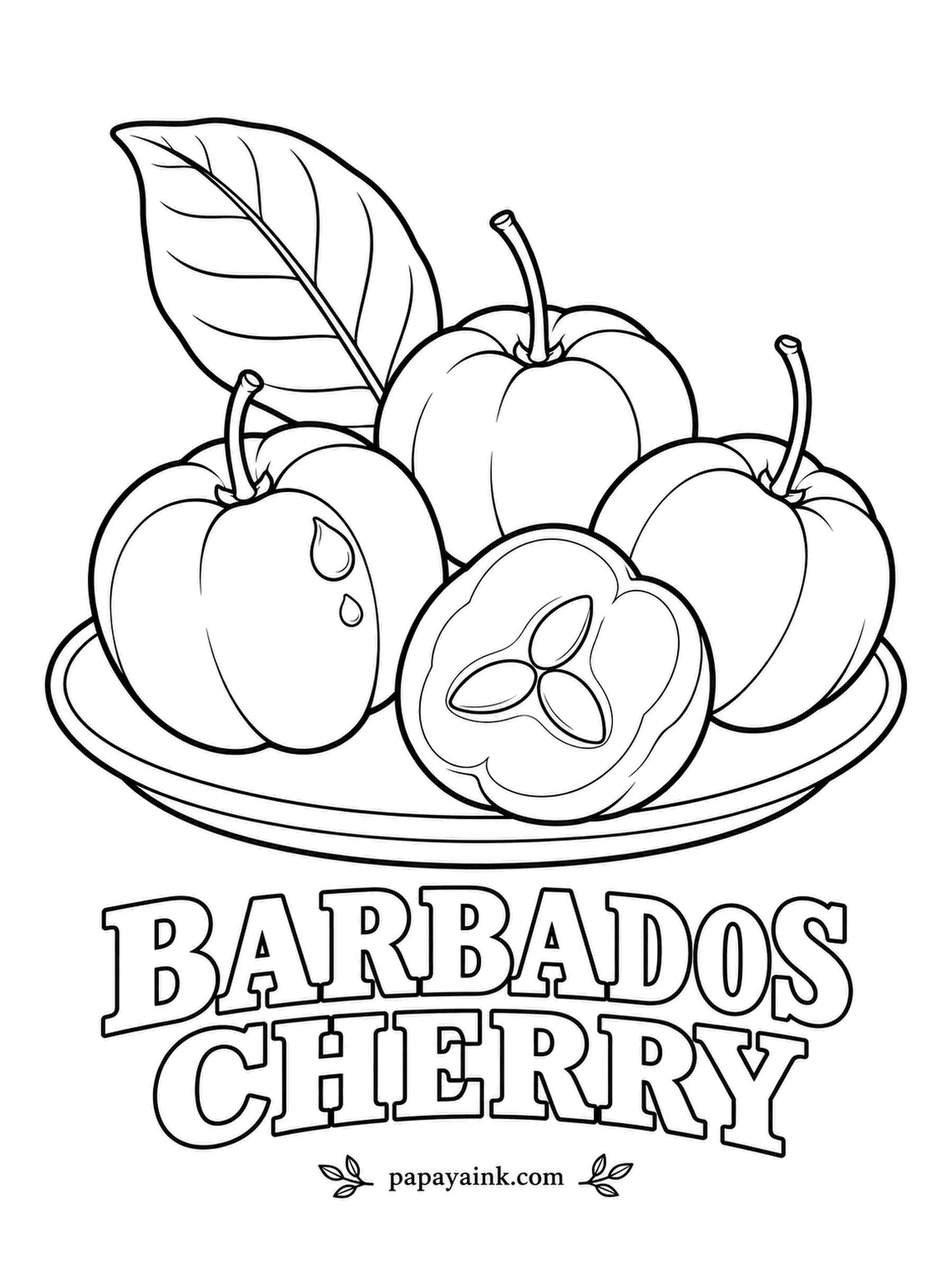 Printable Fruit Coloring Pages - Barbados cherry, also sold as acerola, holds more vitamin C than almost any fruit on earth. Bright cherry red skin, juicy orange-yellow flesh, and three small seeds tucked together in the center of the cut one.