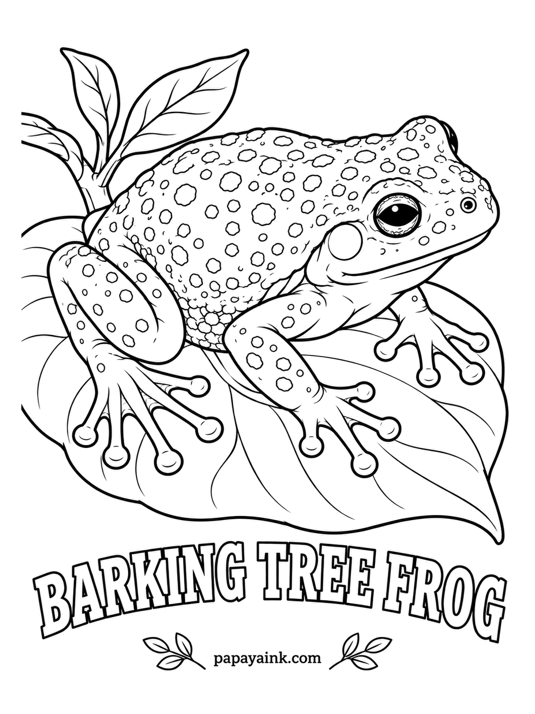 Amphibian Coloring Pages - Stout and barrel-shaped, the barking tree frog ranks as the largest native tree frog in the United States, and it calls with hollow barks, a pack of small dogs in the treetops. Grass green with darker round spots, cream belly. Detailed.