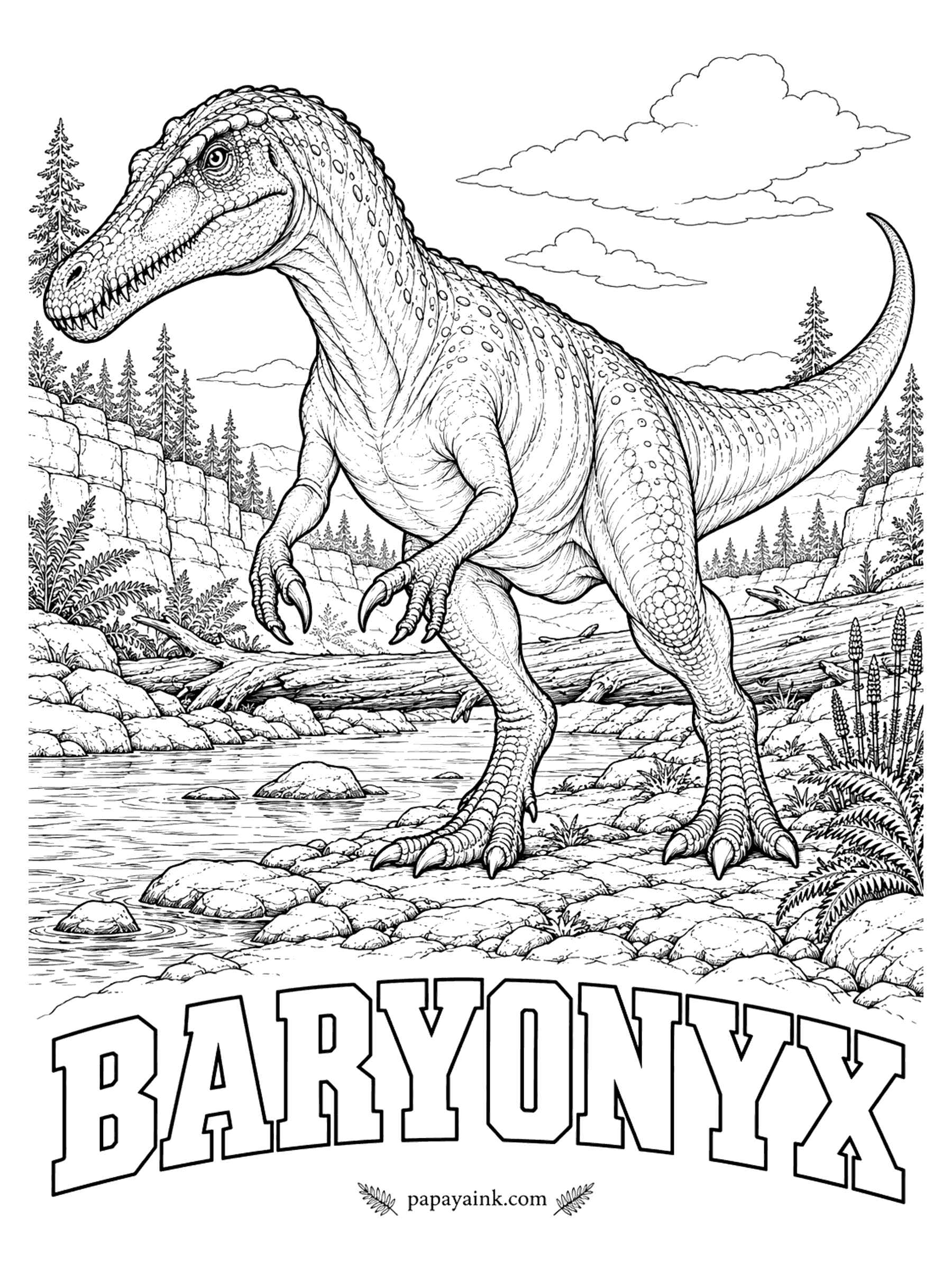 Free Printable Dinosaur Coloring Pages - A plumber out fossil hunting in an English clay pit found the first piece in 1983: a thumb claw a foot long. Baryonyx (bah-ree-ON-ix, heavy claw) had a crocodile-like snout, and its stomach still held fish scales along with bones of a young plant-eating dinosaur. A meat-eater about 30 feet long. England, about 125 million years ago.