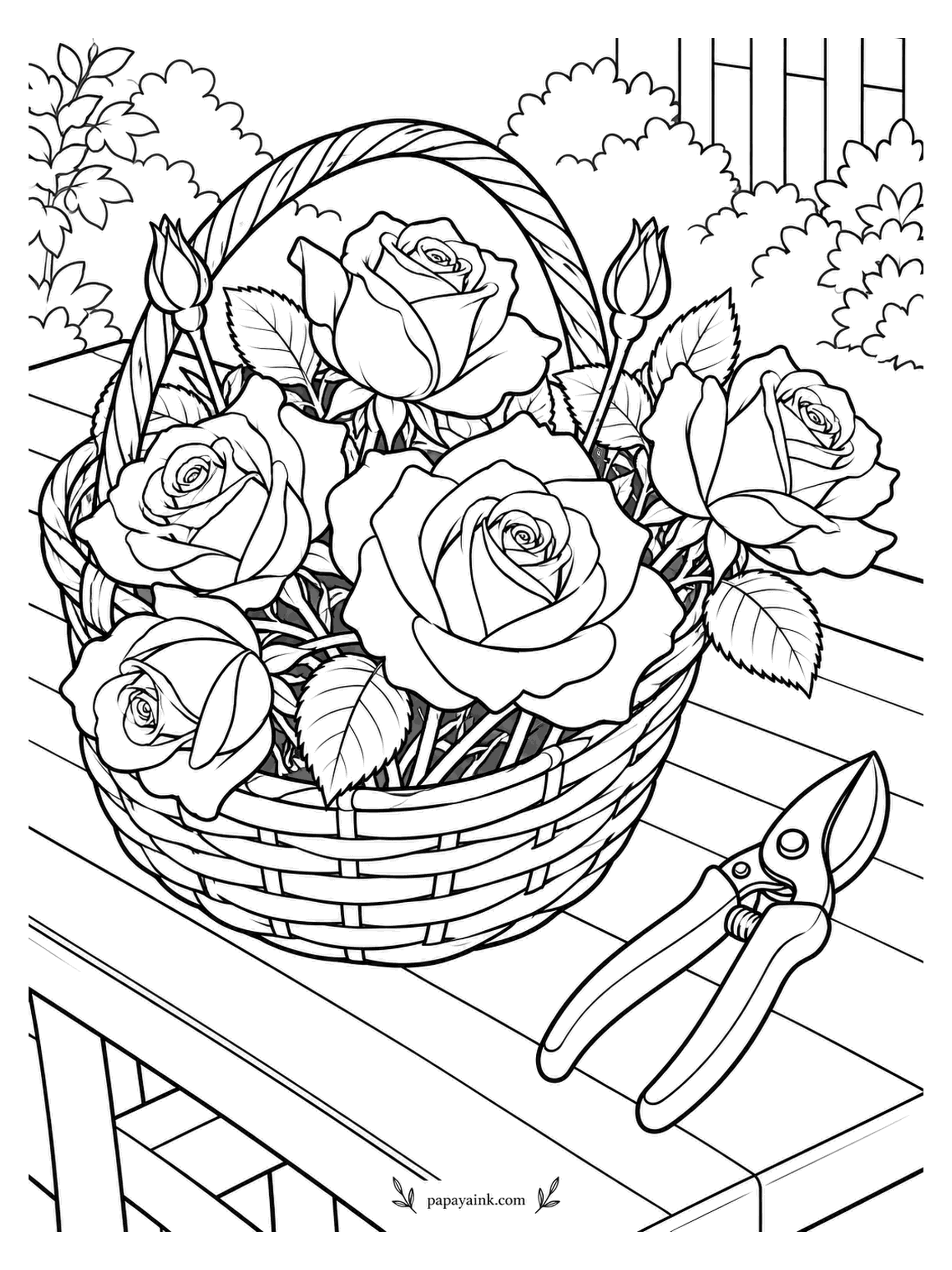 Rose Coloring Pages - Cut on a slant, straight into water: that is the rule for fresh roses, and this basket on the bench is still waiting for its bucket. The shears lie open beside it. Try deep red against the honey tones of wicker.