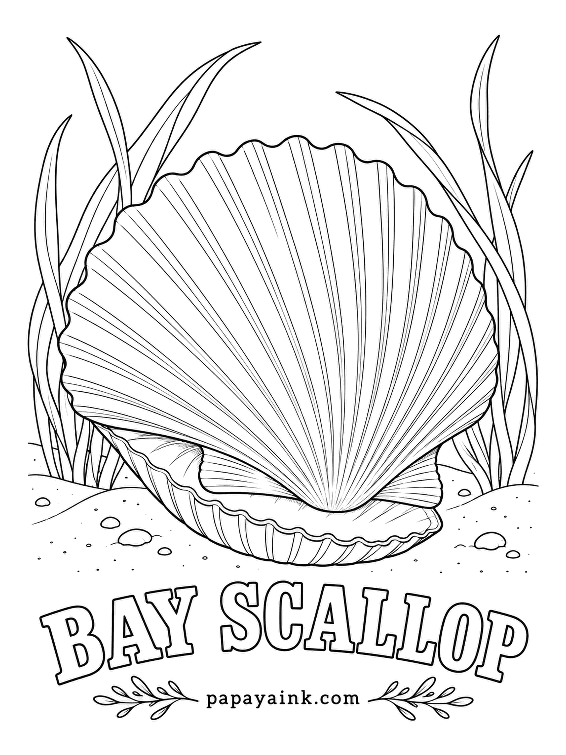 Sea Creature Coloring Pages - Along the edge of its mantle sit dozens of tiny bright blue eyes, and when a sea star creeps close the scallop claps its shells and swims away in jerky hops. Mottled gray and brown ribs, with a blush of orange on a lucky find.