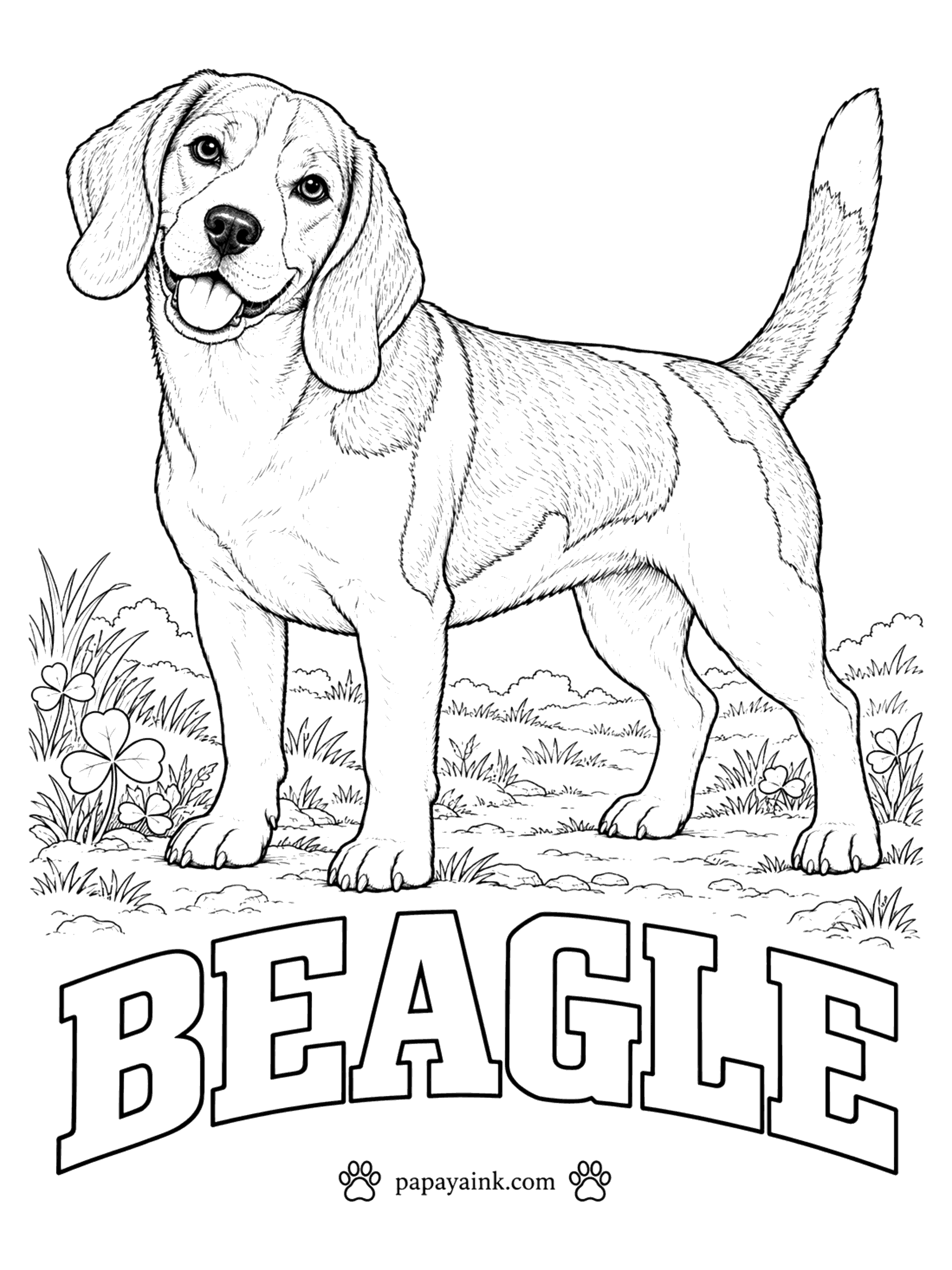 Free Printable Dog Coloring Pages - A beagle's white tail tip works like a flag in tall grass, and here it is outlined so you can leave it blank. The classic tricolor: black saddle, tan head and sides, white on the muzzle, chest, legs and that tip.