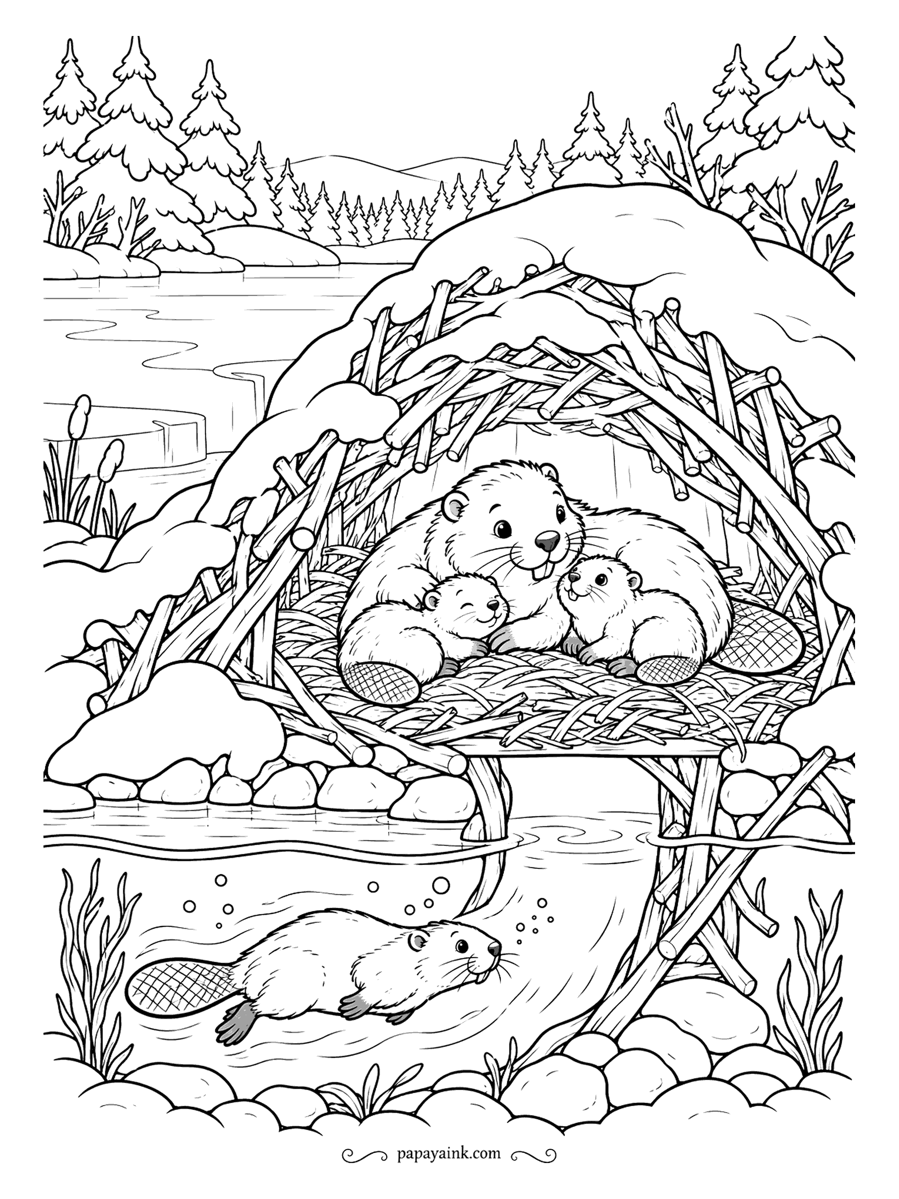 Free Printable Winter Coloring Pages - A cutaway of a beaver lodge: three beavers dry and snug in the stick dome above, a fourth swimming in under the ice through the water entrance. Pond, reeds and firs complete the scene. Browns for the sticks, blue for the water.