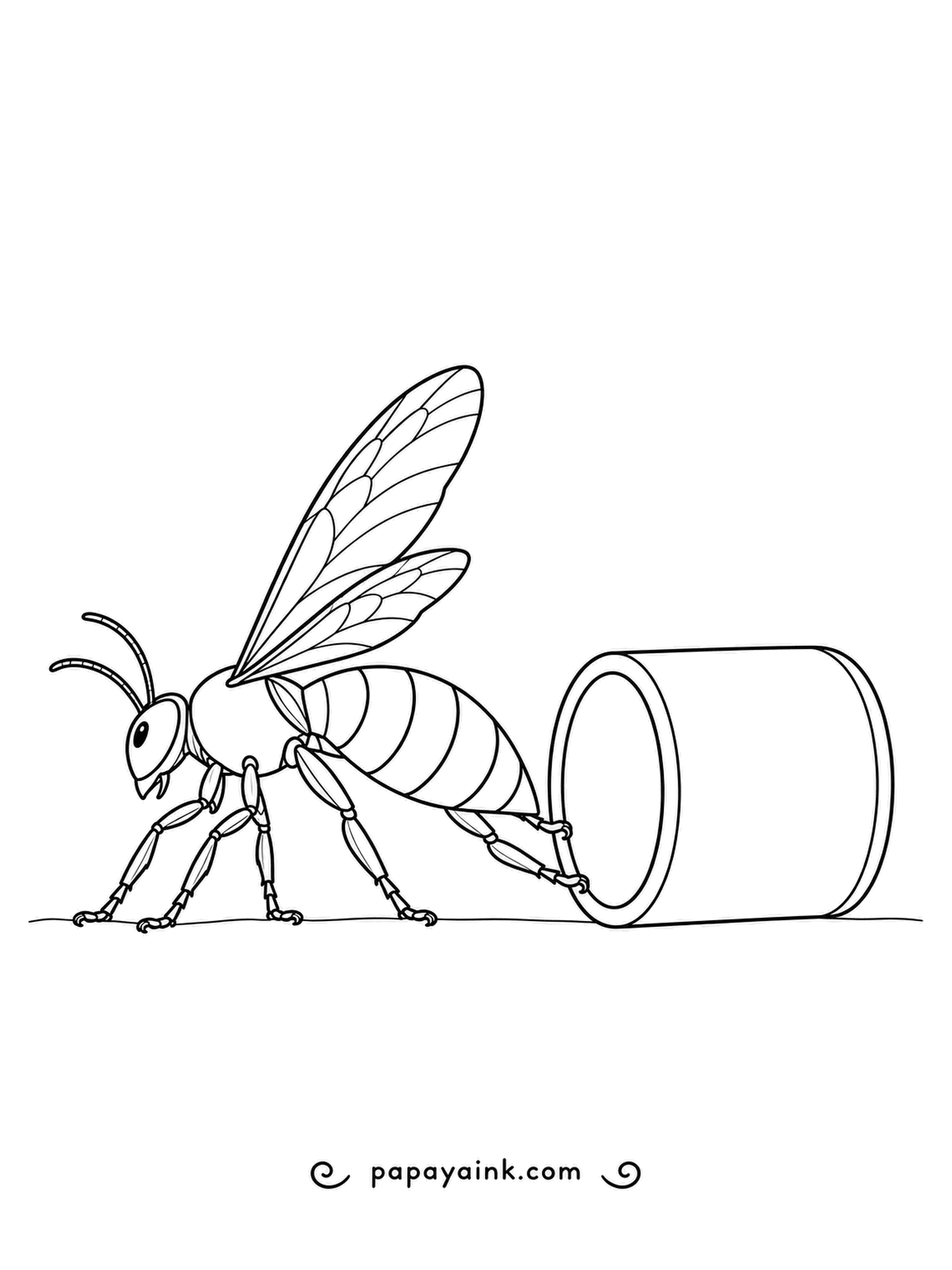 Bee Coloring Pages - Walking forward with its head low, this bee shoves a hollow tube along using only its back legs. Bold stripes around the tube would turn it into a rolling toy drum.