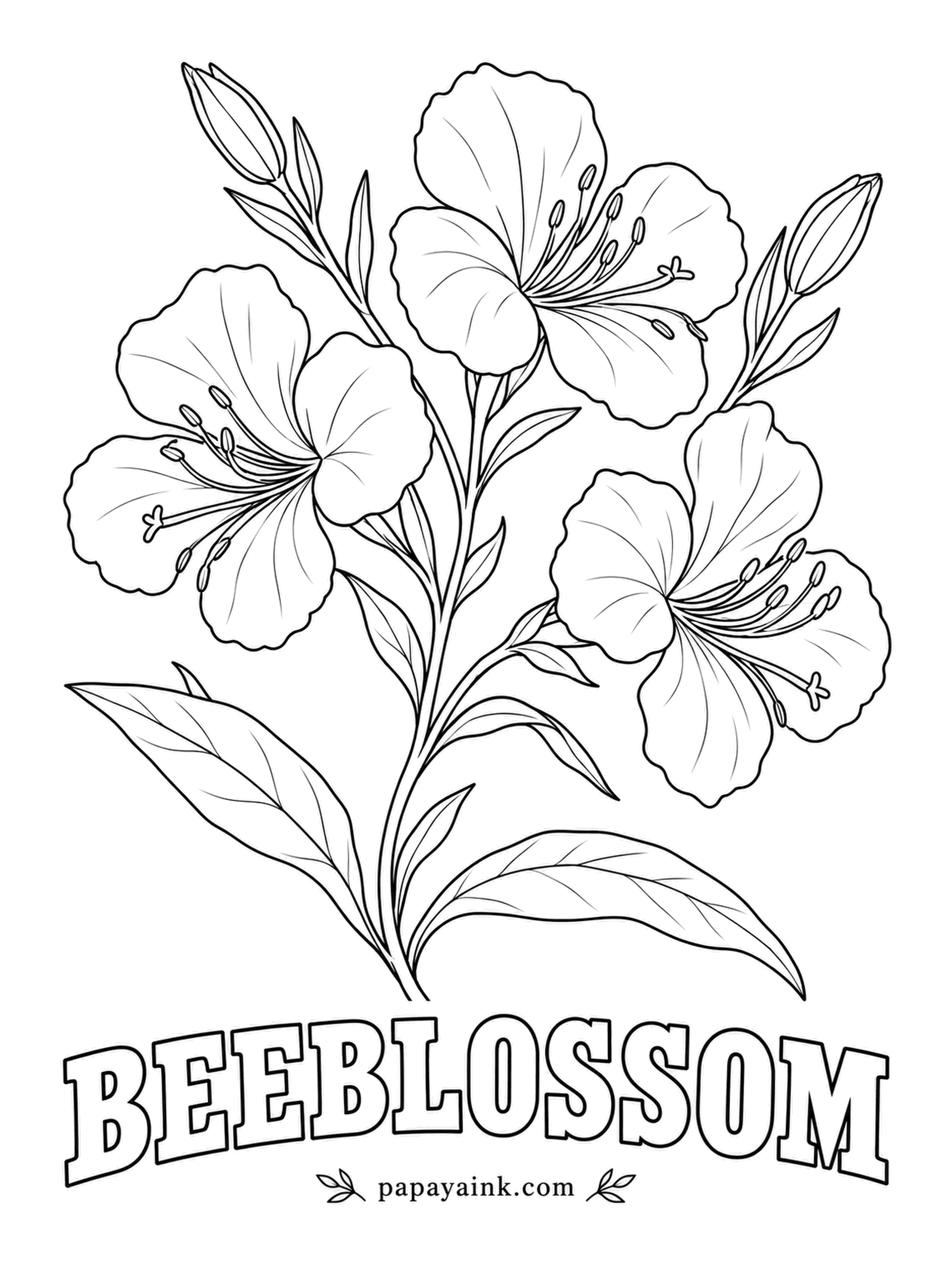 Realistic Flower Coloring Pages - Flowers open a few at a time along wiry stems, and in a breeze they flutter like moths around a lamp. Beeblossom, often sold as gaura, comes in white or soft pink and blooms for months. Blush the petal edges and leave the centers pale.