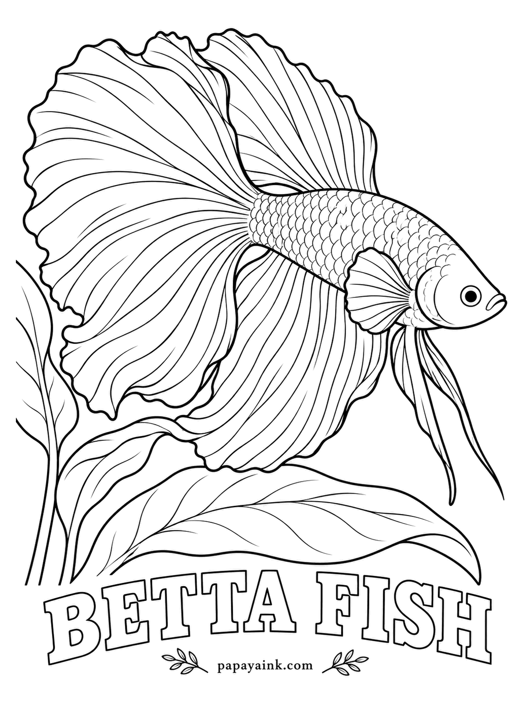 Aquarium Fish Coloring Pages - A betta can gulp air at the surface through a labyrinth organ, which is how bettas get by in shallow rice paddies. This halfmoon tail opens wider than the fish is long. Detailed - let deep red melt into royal blue at the fin edges.