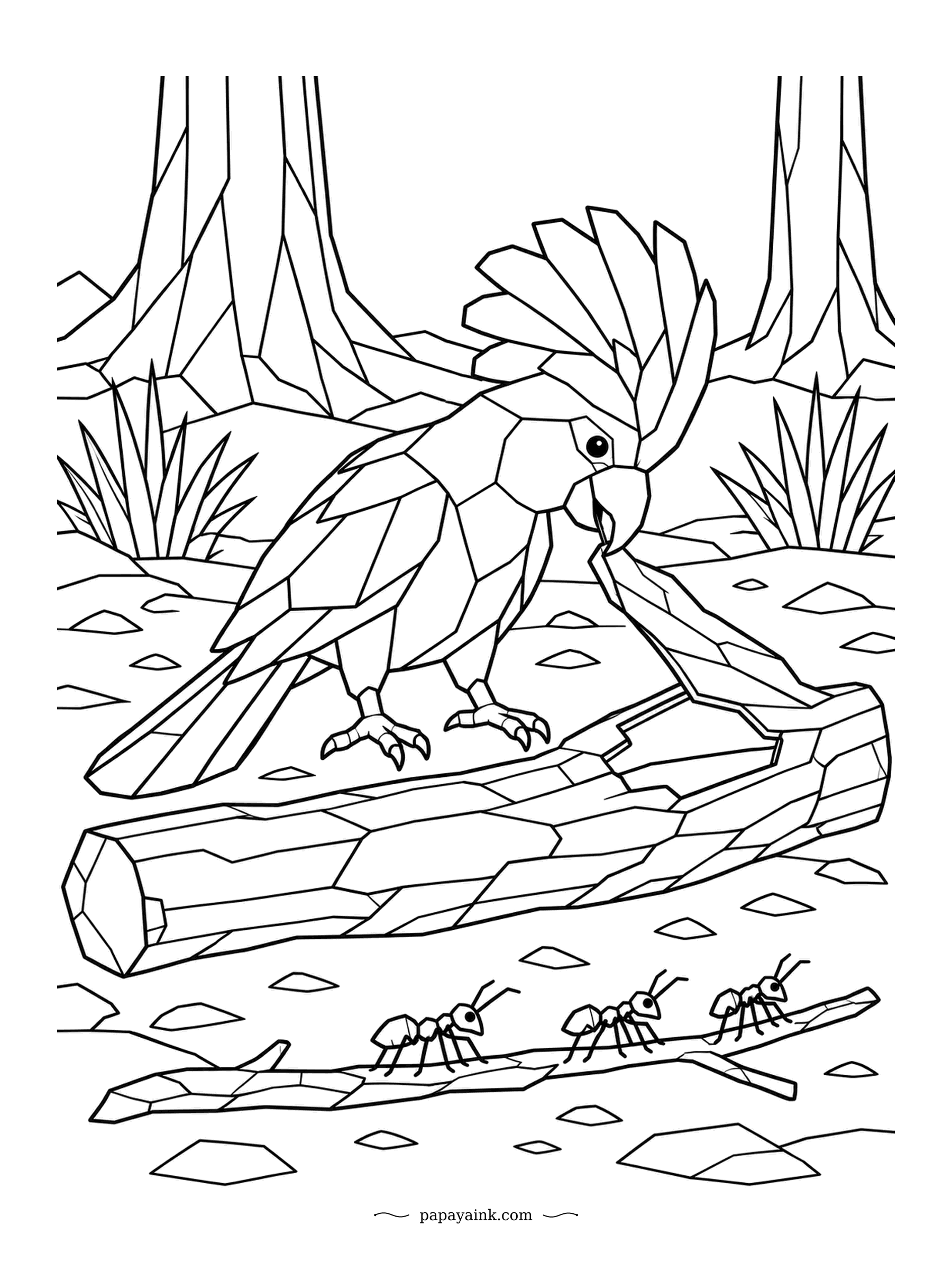 Parrot Coloring Pages - Black cockatoos rip into dead wood to get at the grubs hiding underneath, and this one has a flap of bark half peeled back. A line of ants marches down a twig below, unaware of how close lunch came. Faceted low-poly shapes.