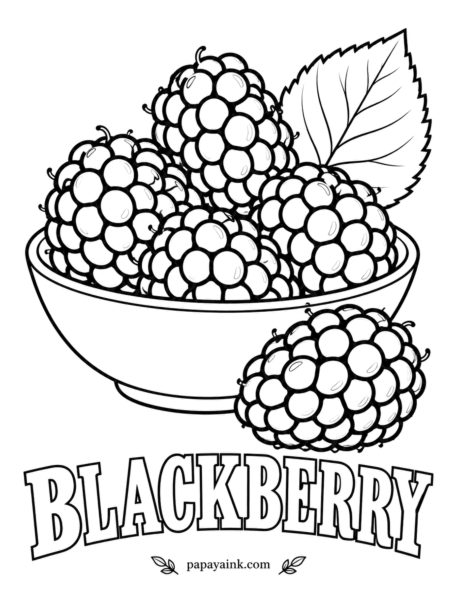 Printable Fruit Coloring Pages - Blackberries are built from dozens of tiny drupelets, and every one of them is drawn here. Dark purple, nearly black, with a bright dot on each bead gives them the glossy look of fruit straight off the bramble.