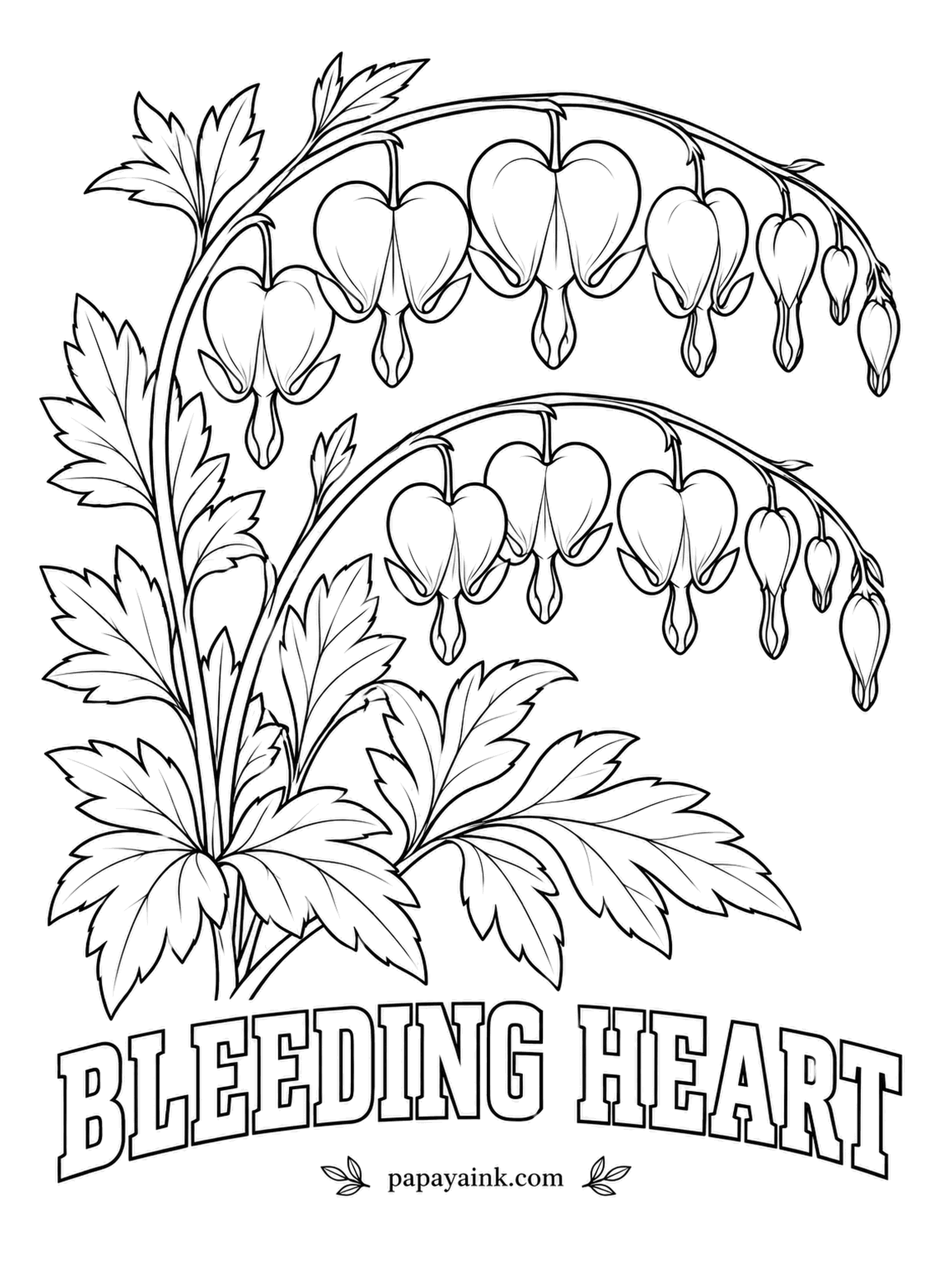 Free Flower Coloring Pages - Rows of little hearts dangle from arching stems as if someone strung them up on purpose. Color the outer petals rosy pink and leave the drop-shaped tips poking out below them white, the way the real flower grows.