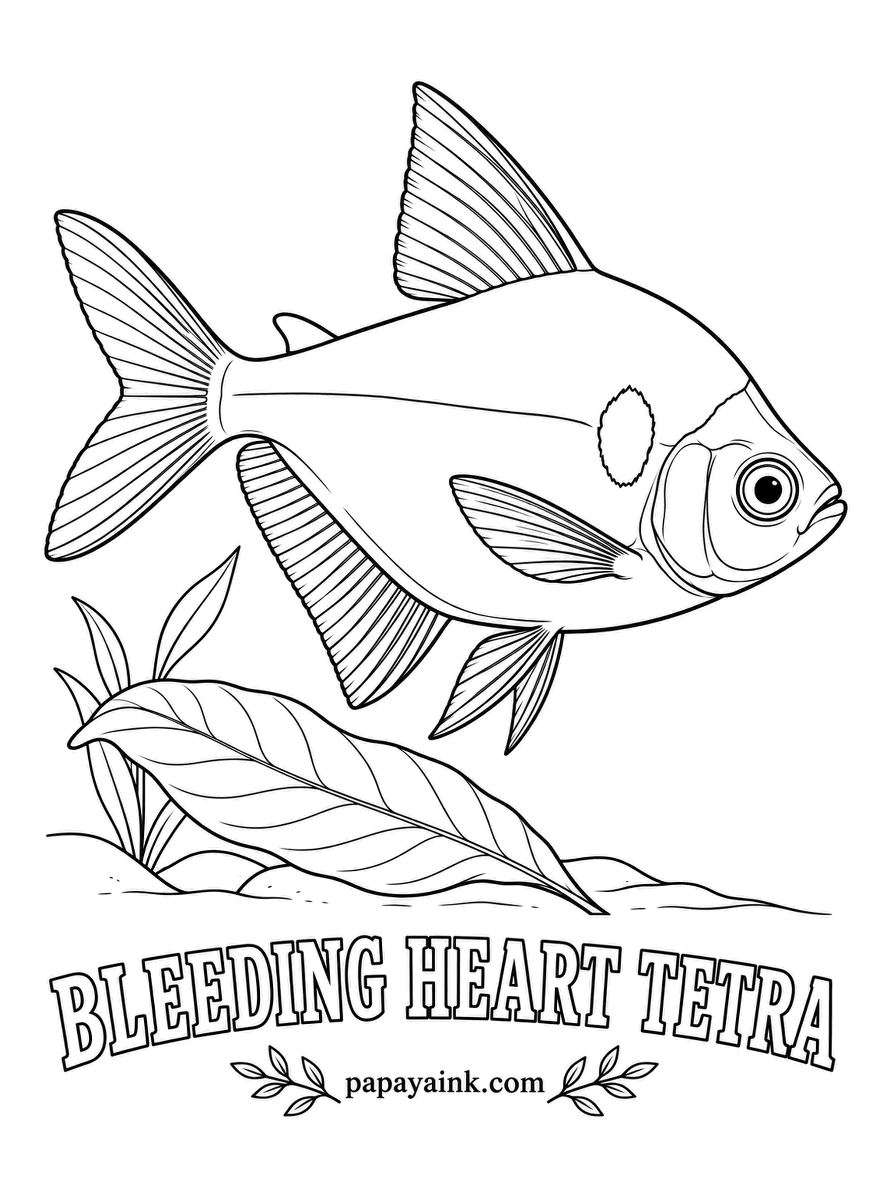 Aquarium Fish Coloring Pages - The name comes from one red blotch just behind the gill, as if this Amazon fish wore its heart on the outside. Everything else is a soft pinkish silver. Use rose red for the spot and leave the rest pale and glossy.