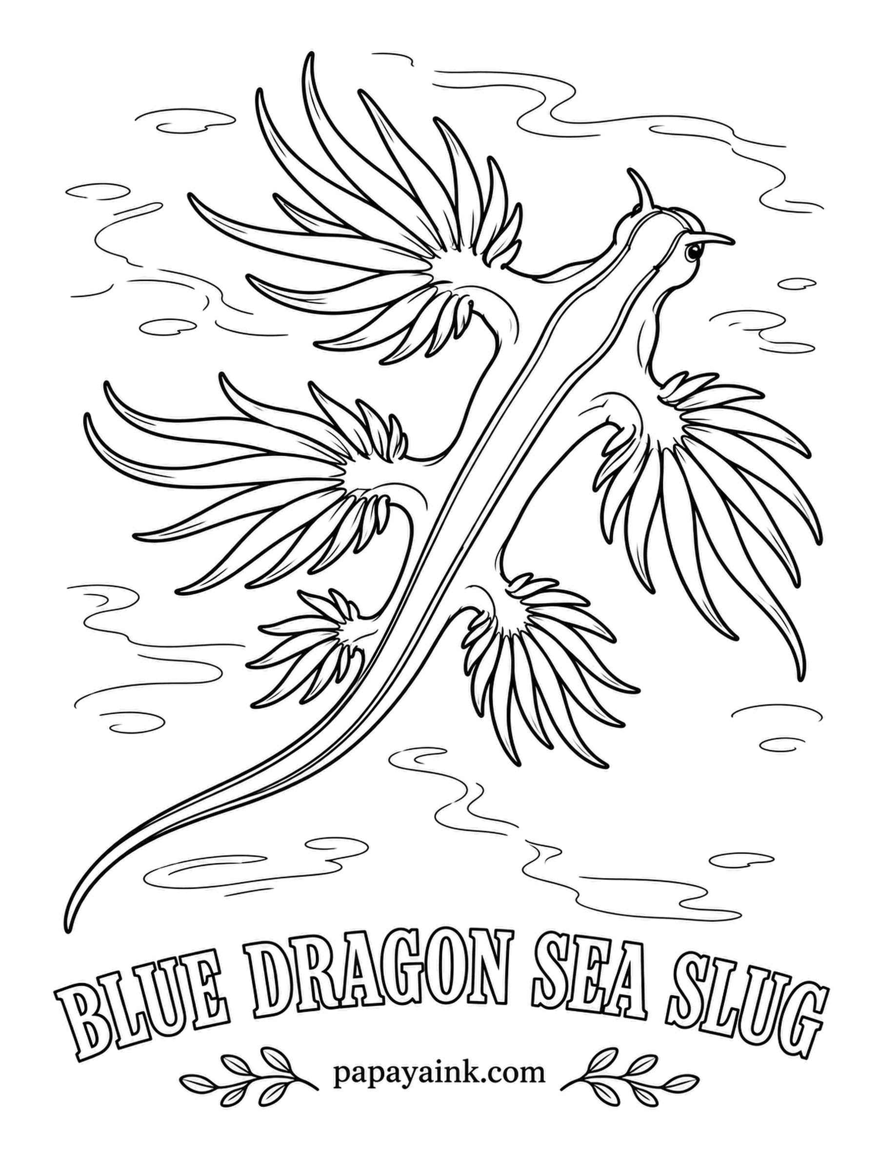 Sea Creature Coloring Pages - Upside down at the surface, buoyed by a swallowed air bubble, this slug eats Portuguese man o' war and keeps their stinging cells for its own defense. Small, gorgeous and not to be touched. Electric blue and silver, darker at the fringes.
