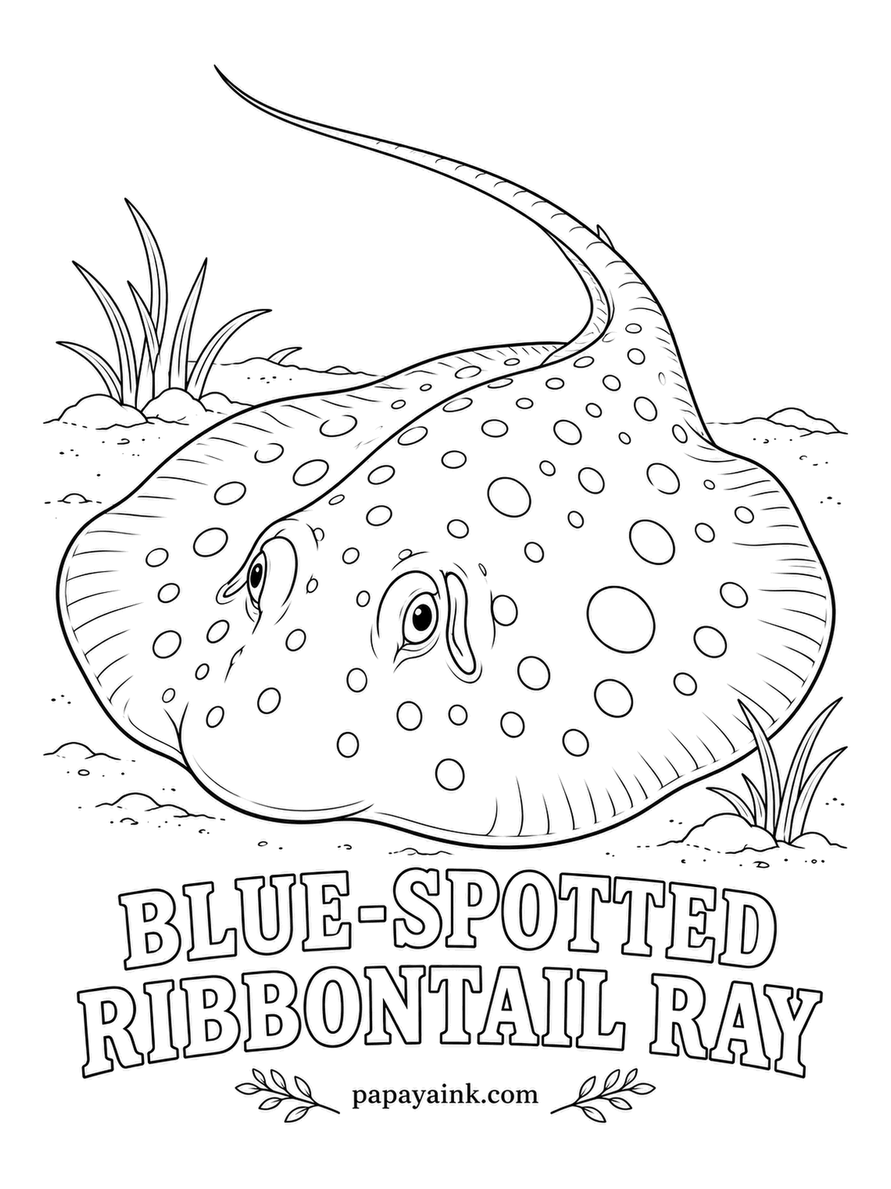 Ocean Fish Coloring Pages - By day this ray hides under coral ledges with only the tail sticking out, and the tail gives it away: two bright blue stripes run down it. Color the body a warm sandy olive, then fill every circle with electric blue.
