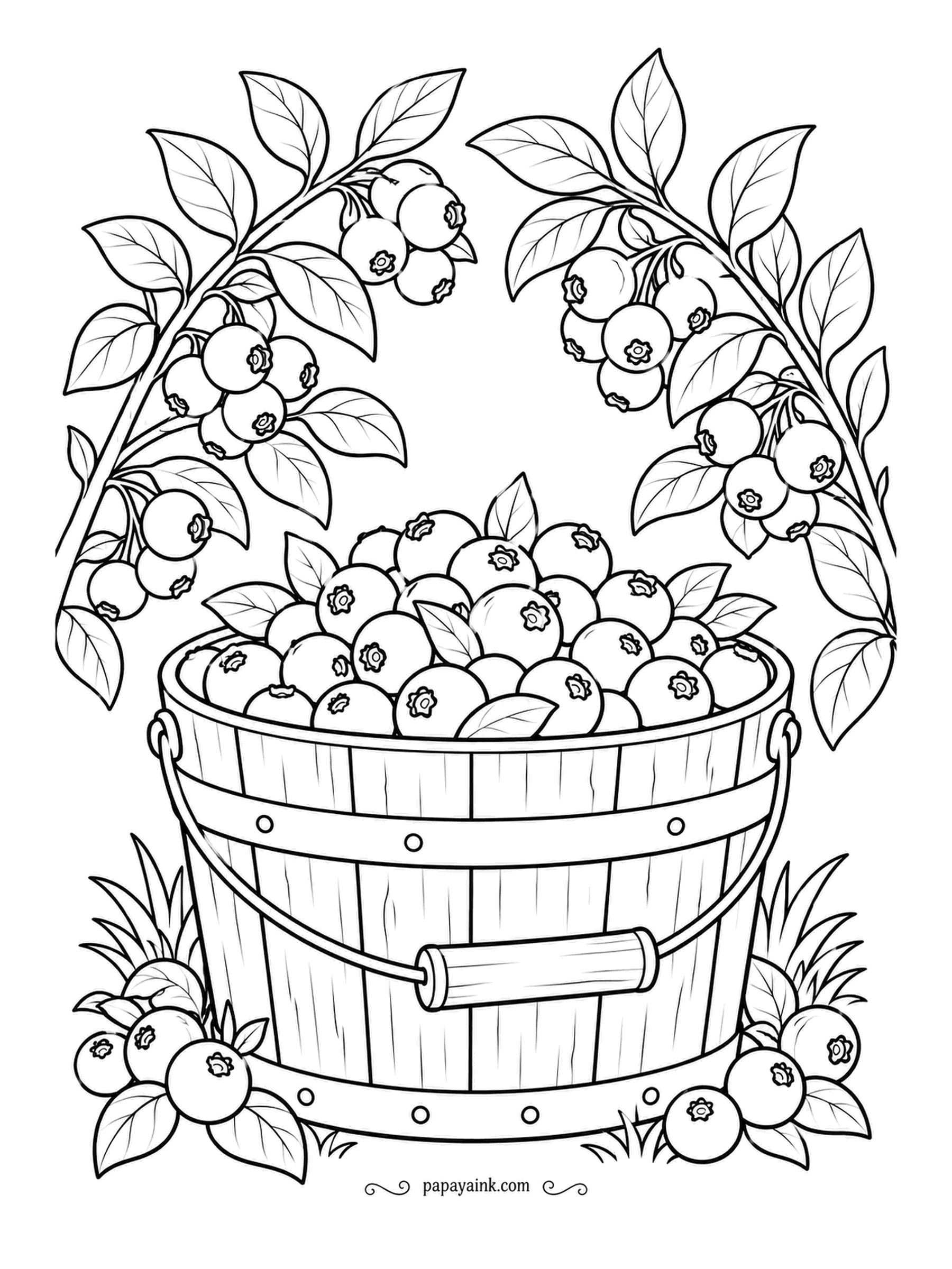 Farm Coloring Pages - Blueberry branches arching over a wooden pail filled to the brim, each berry drawn with its little star crown. Blue-violet for the ripe ones, a dusty lighter shade for the bloom on top, and the foliage kept cool and dark.