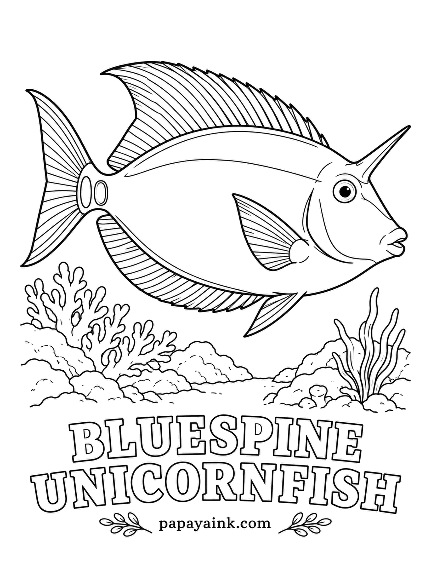 Ocean Fish Coloring Pages - Horn-free as juveniles, unicornfish grow the bony forehead spike only as they mature. The name comes from the two blue blades at the base of the tail. Olive gray overall, with the blades and fin edges bright blue.