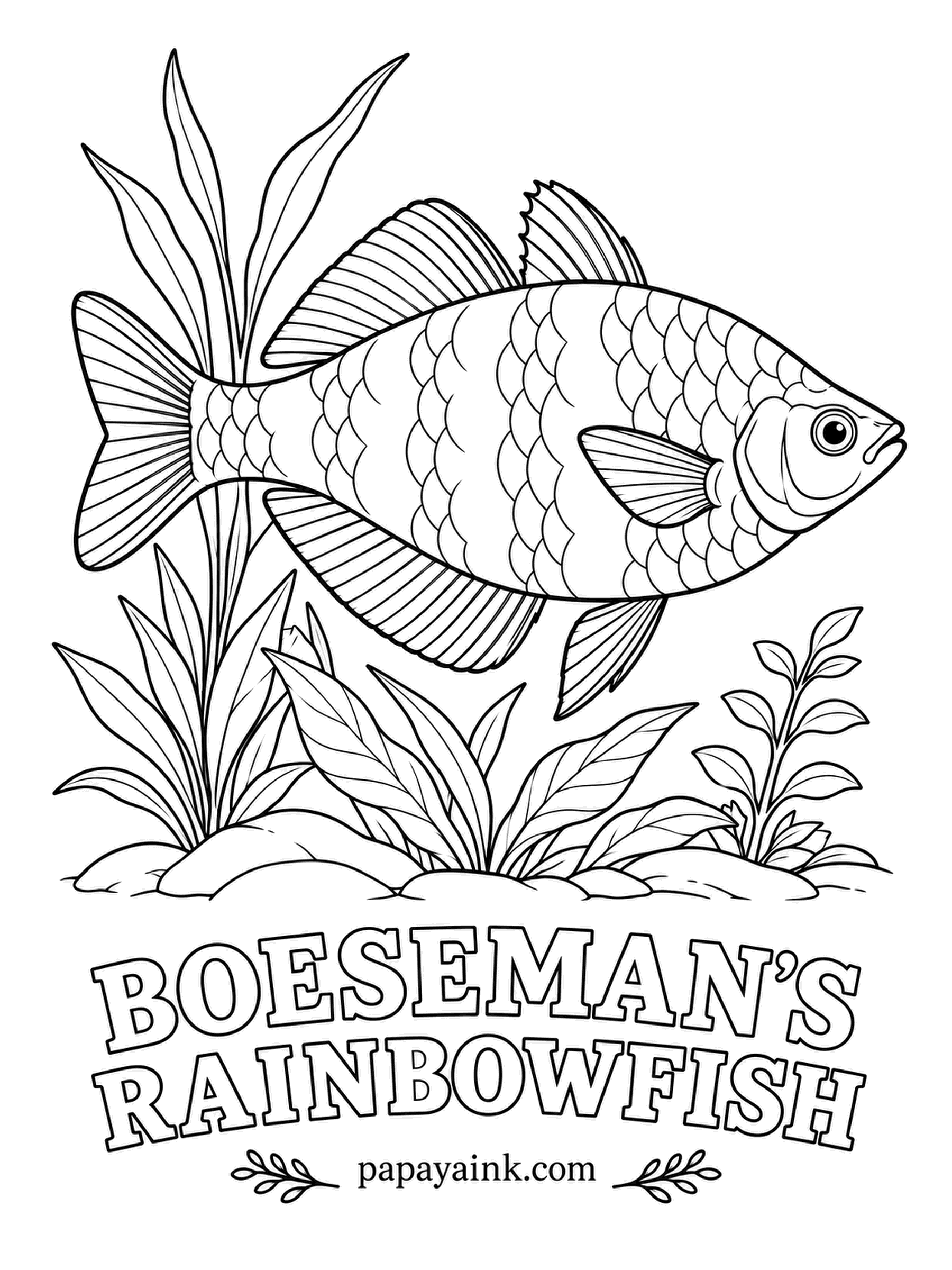 Aquarium Fish Coloring Pages - Half blue, half orange, as if two fish were stitched together at the middle. Boeseman's rainbowfish comes from a few small lakes on the island of New Guinea. Blend violet blue into tangerine across the belly, with no hard line between them.