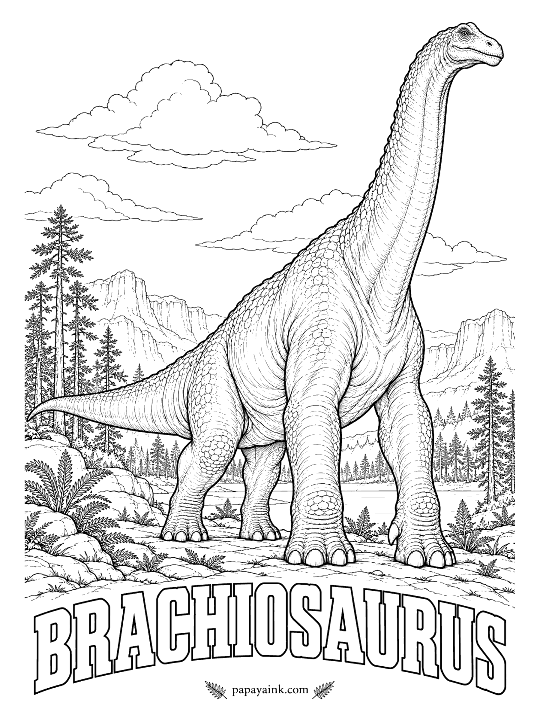 Free Printable Dinosaur Coloring Pages - Front legs longer than the back ones tilted the whole body upward, like a giraffe built on a bigger plan. Brachiosaurus (BRAK-ee-oh-SORE-us, arm lizard) was a plant-eater about 70 feet long that could browse treetops up to four stories high. North America, about 150 million years ago.