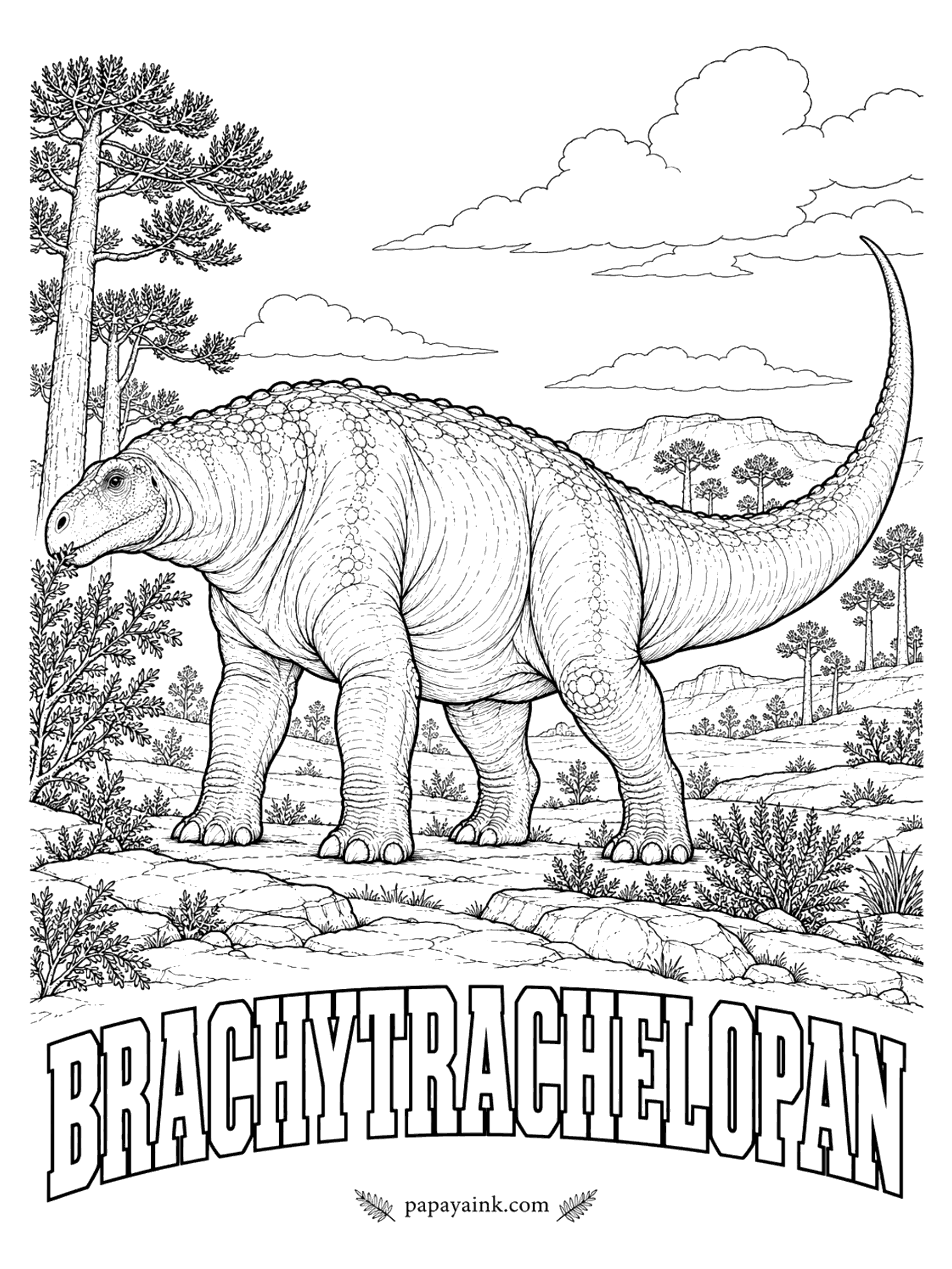 Free Printable Dinosaur Coloring Pages - Here the long-neck has a short neck, the shortest of any known sauropod, and it probably browsed low plants. Brachytrachelopan (BRAK-ee-trak-eh-LOW-pan, short-necked Pan, after the Greek god of shepherds) has a full name that honors the shepherd who found it while looking for lost sheep. About 33 feet long. Argentina, about 150 million years ago.