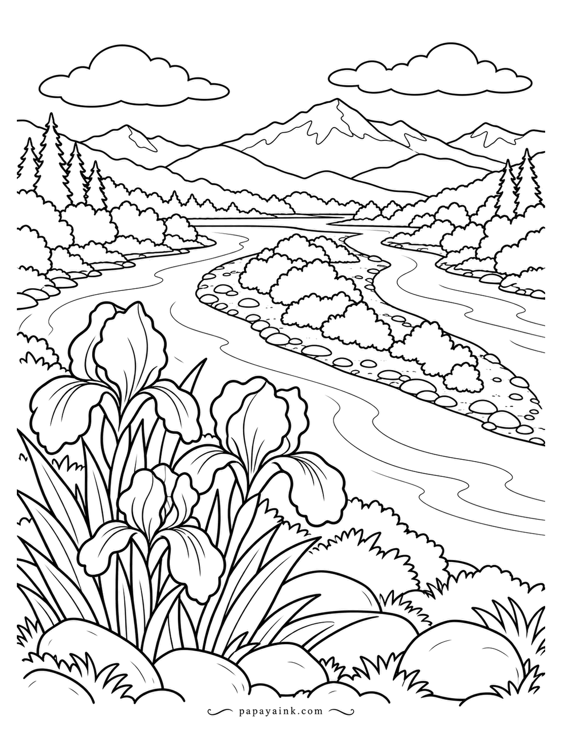 Nature Coloring Pages - The river splits around its own gravel bars and rejoins further down, the way braided channels do below melting glaciers. Wild irises bloom on the bank and a snowy summit closes the view. Purple-blue petals, pale green water with grey stones.