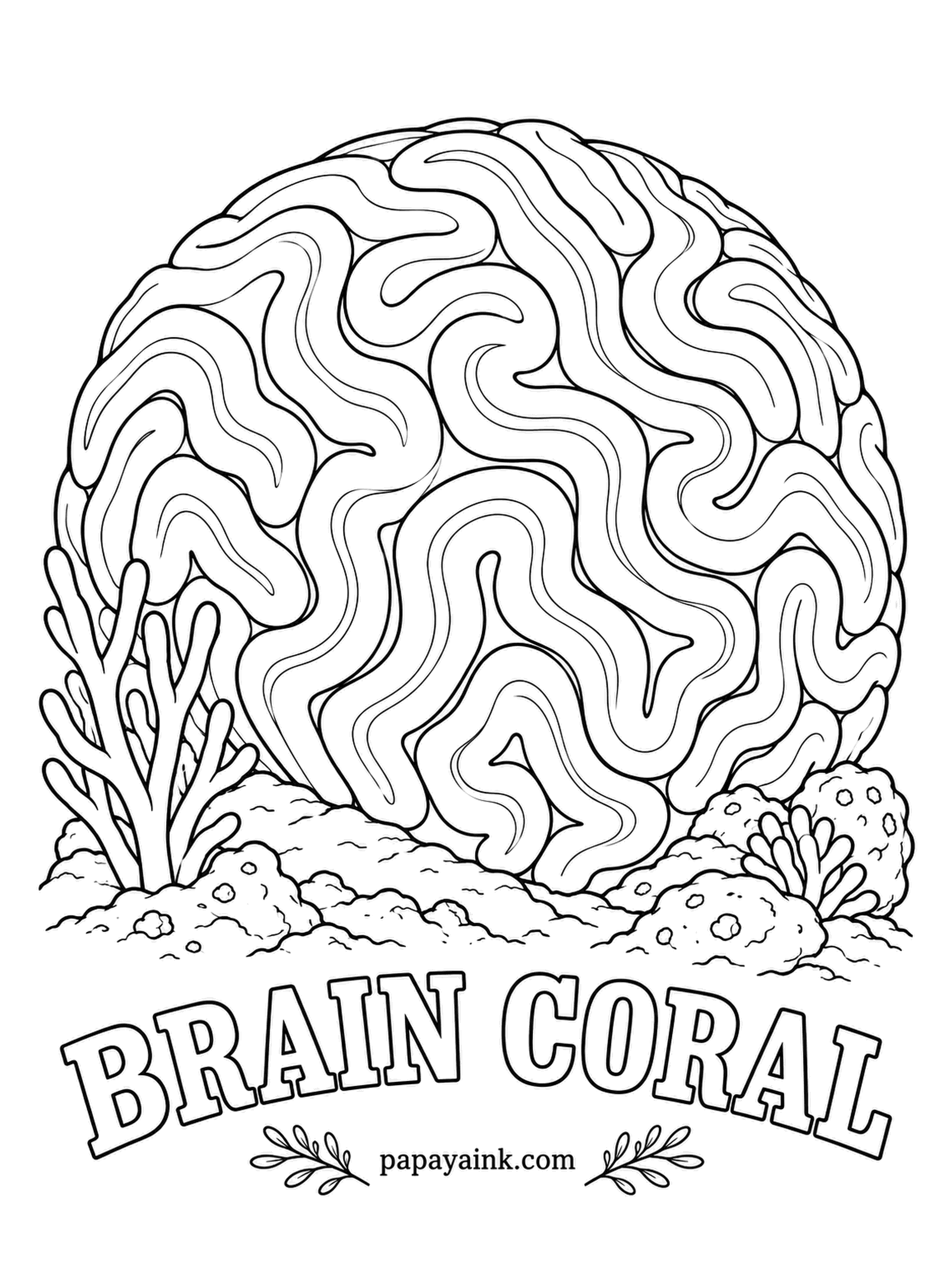 Sea Creature Coloring Pages - It looks like one creature, but every winding groove is lined with thousands of tiny polyps working together, and a big dome can be centuries old. It grows only a few millimeters a year. Tan, honey brown or soft green, with paler ridges.