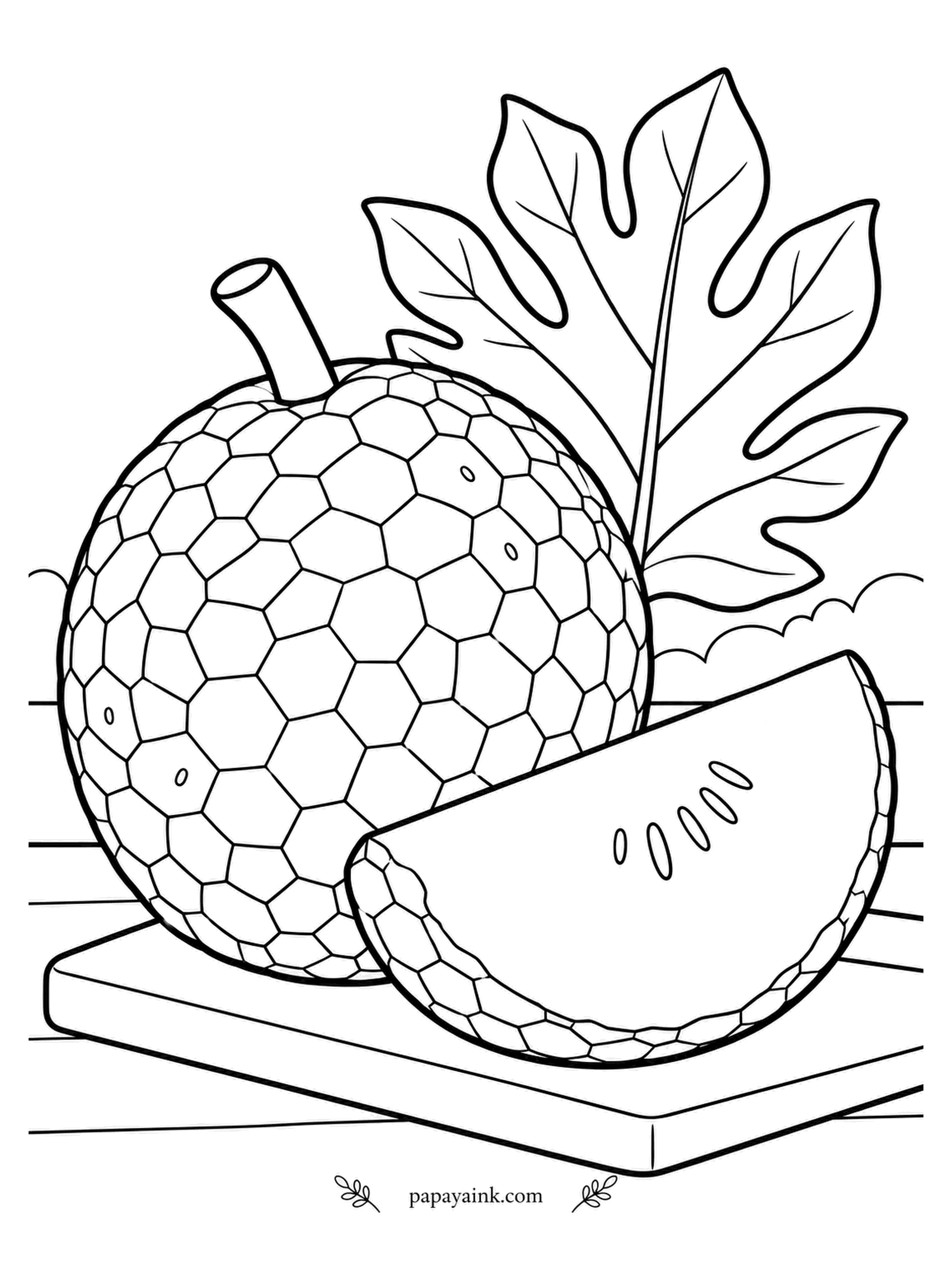 Fruit Coloring Pages - Roasted over a fire, breadfruit is said to taste like freshly baked bread, hence the name. In the late seventeen hundreds the HMS Bounty sailed to Tahiti to collect breadfruit saplings. This one sits on a garden board beside its deeply lobed leaf. Lime to olive green for the rind, creamy white for the cut flesh.