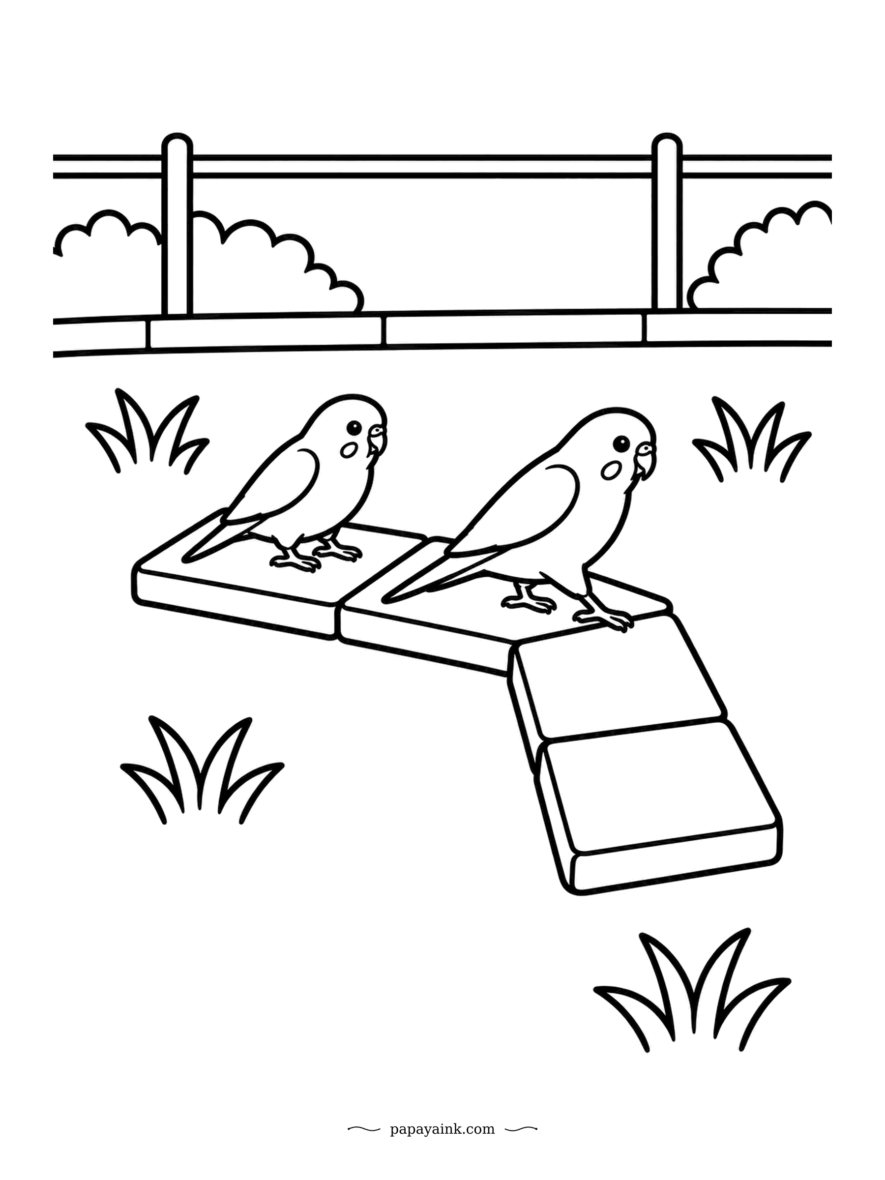 Parrot Coloring Pages - The stepping slabs bend to the right, and the second budgie is weighing up the corner. Wild budgies roam the Australian interior in huge flocks. Barely any scenery, so it colors up fast.