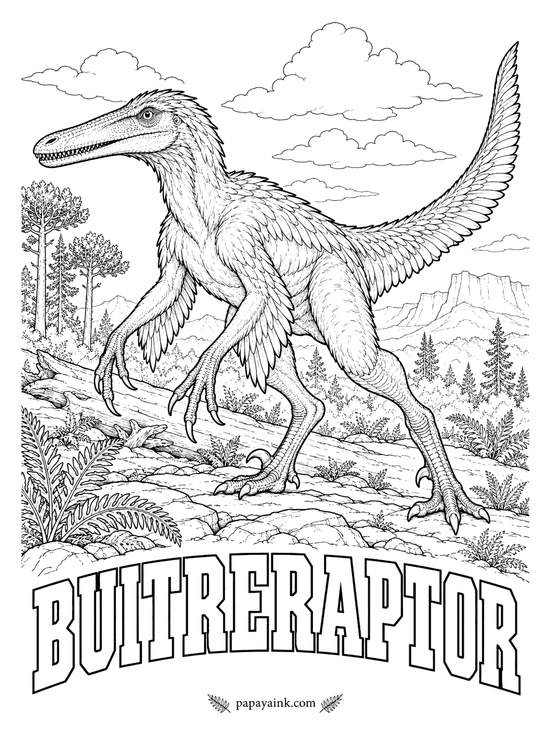 Free Printable Dinosaur Coloring Pages - Long narrow jaws with small teeth, more like a heron's bill than a raptor's bite. Buitreraptor (BWEE-treh-RAP-tor, vulture raider, after the fossil site La Buitrera) was a rooster-sized hunter of small prey, very likely feathered. About 5 feet long. Argentina, about 97 million years ago.