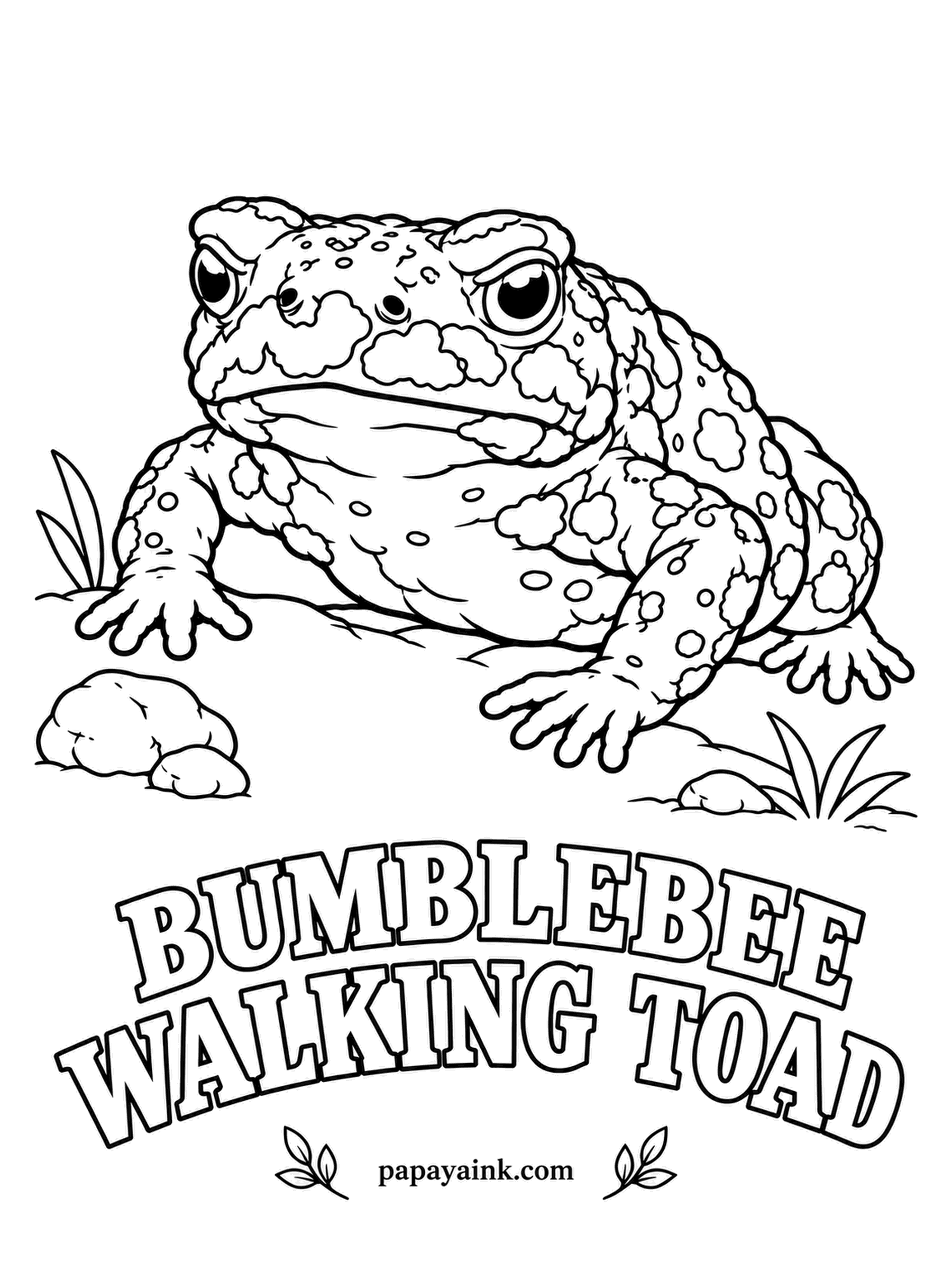 Amphibian Coloring Pages - Barely an inch long and never rushed, the bumblebee walking toad of Argentina walks rather than hops, trusting its warning colors. Threatened, it arches its back to flash a fire-red belly and palms. Glossy black with yellow spots. Detailed.
