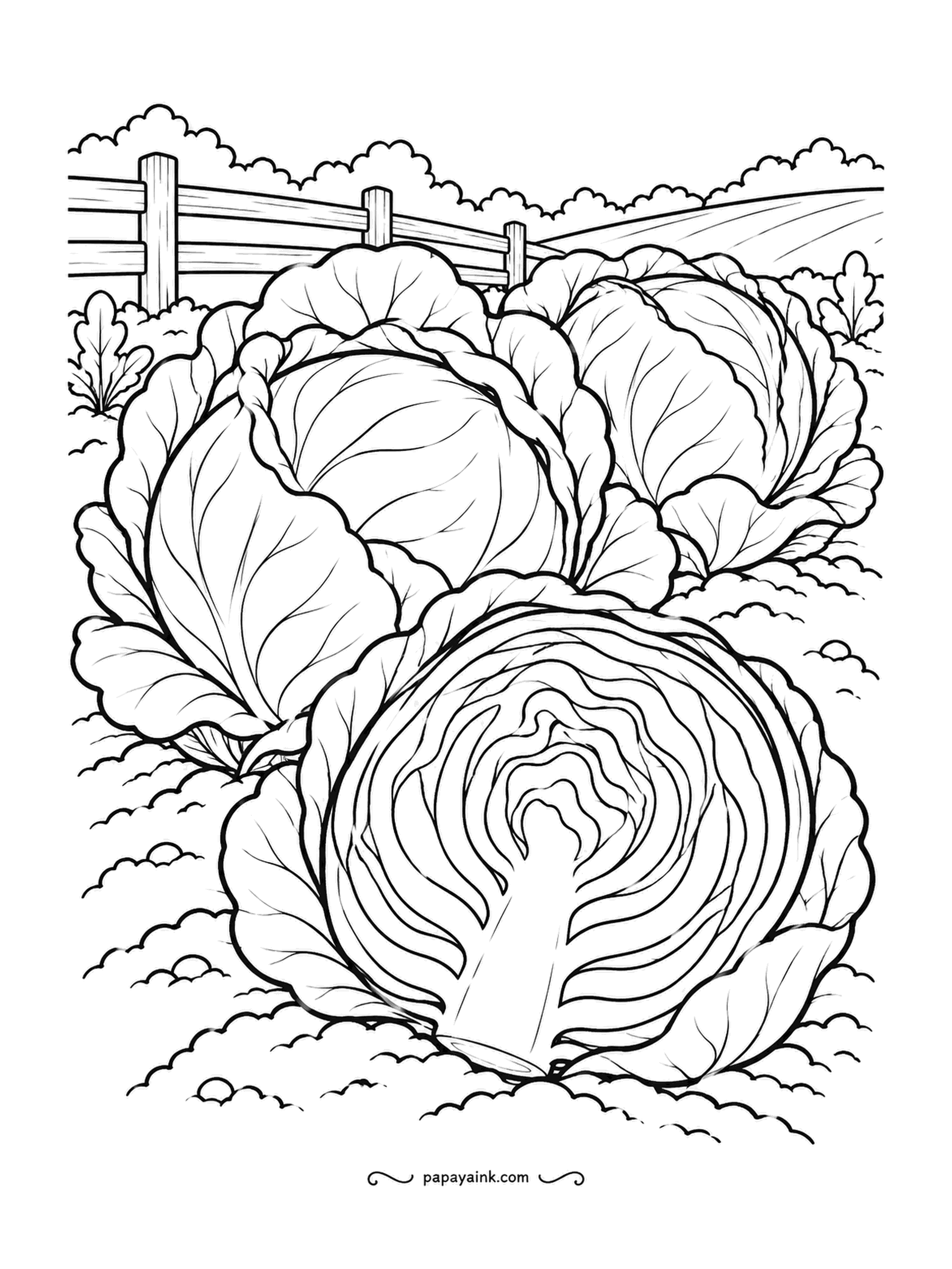 Farm Coloring Pages - Cabbages in a garden row with one sliced open in front to show the tight spiral of leaves inside. The fence and hills sit far back. Detailed - the veins alone are an evening's work; pale jade with white highlights suits them.