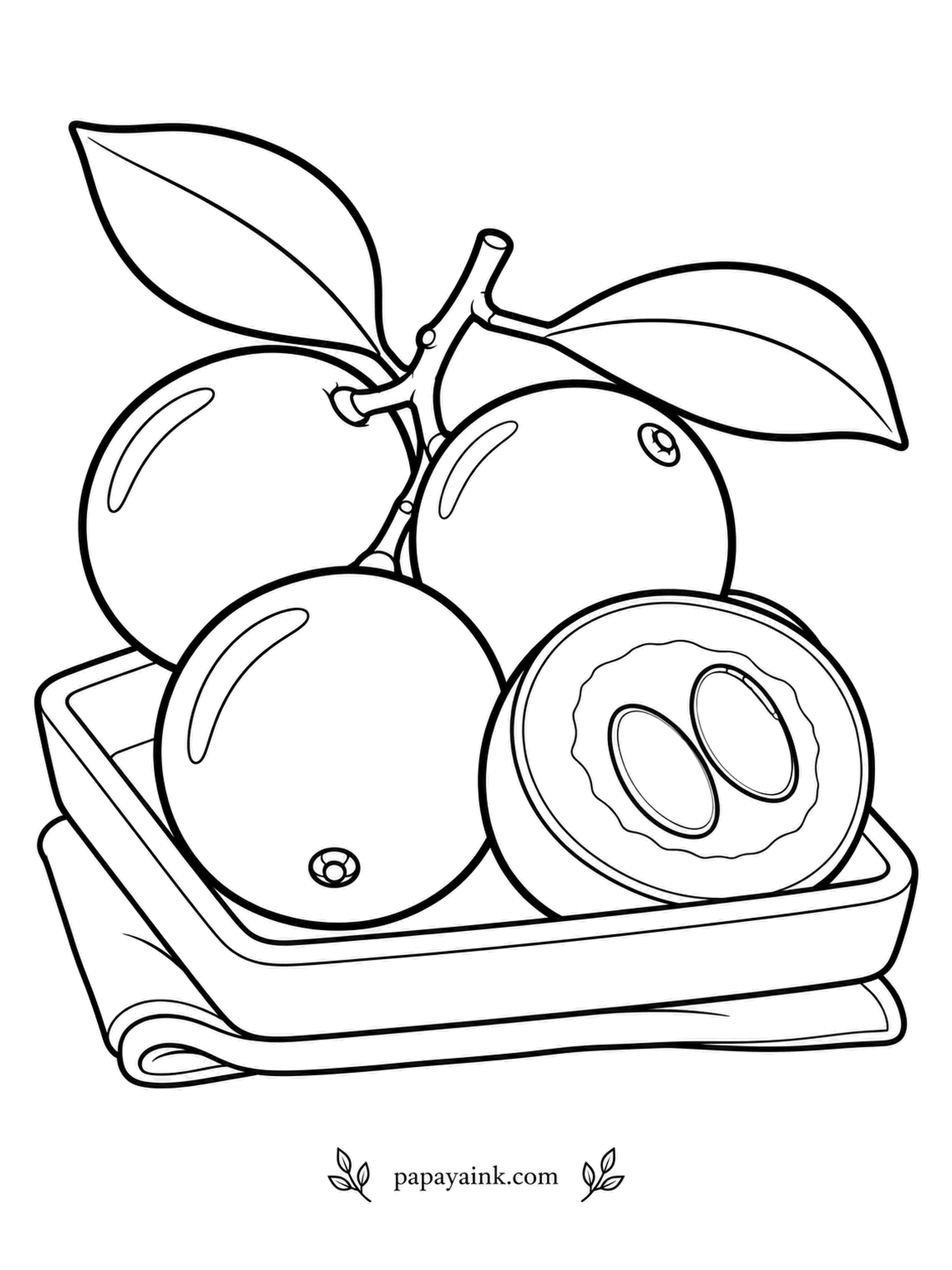 Fruit Coloring Pages - Along Amazon rivers the camu camu shrub stands in floodwater for months, and pickers often reach the fruit by canoe. The berries are sour enough to make a lemon look mild. The tray holds a little branch of them, one berry sliced to its two seeds. Shade them from wine red to deep purple.