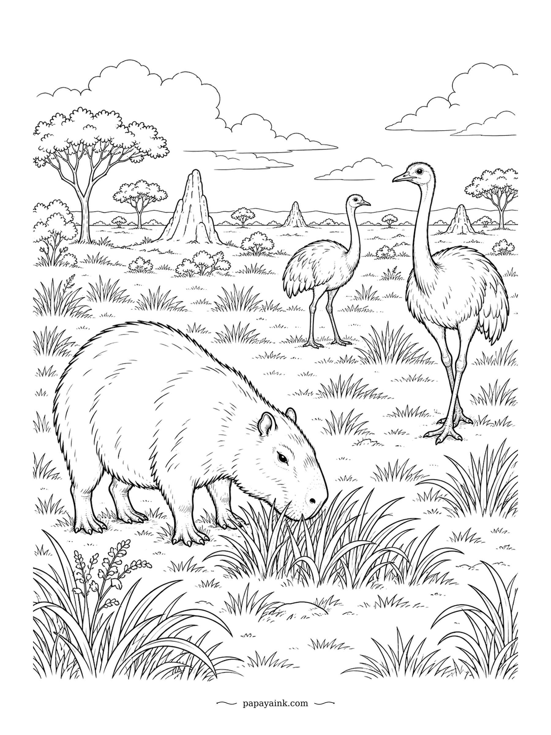 Capybara Coloring Pages - Out on the open grassland, the capybara grazes while two rheas, the largest birds in South America, keep watch above the grass. Termite mounds rise in the distance. A page for patient shading - layer several browns for the coarse fur.