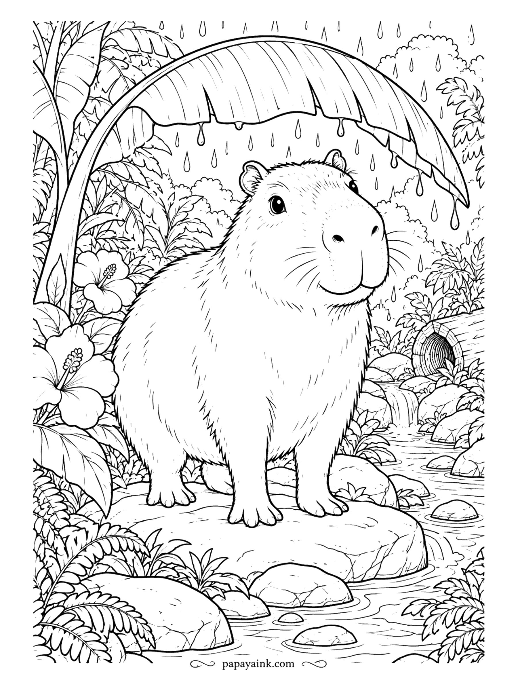 Capybara Coloring Pages - When the rain starts, a banana leaf makes a perfectly good umbrella. The capybara waits out the shower on a stone in the jungle, drops falling from the leaf tip just in front of its nose. Detailed.