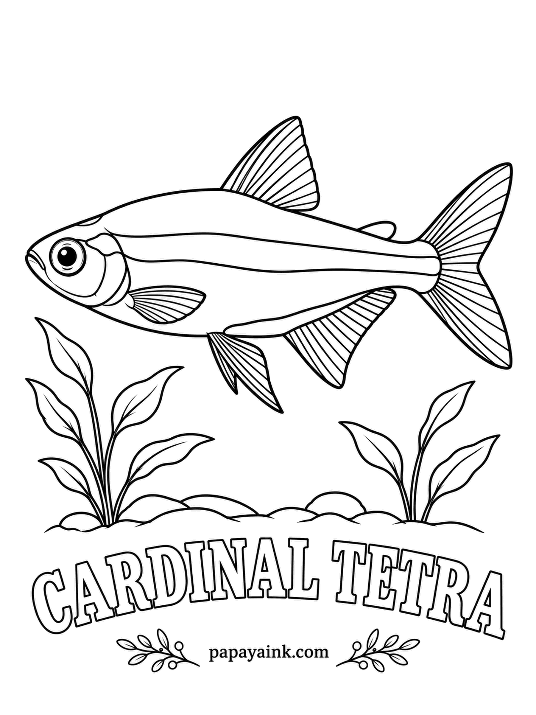 Aquarium Fish Coloring Pages - Same electric stripe as the neon tetra, but here the red runs the full length of the belly instead of stopping halfway. Wild cardinals come from the blackwater streams of the Rio Negro. Color the stripe turquoise and press hard on the red.
