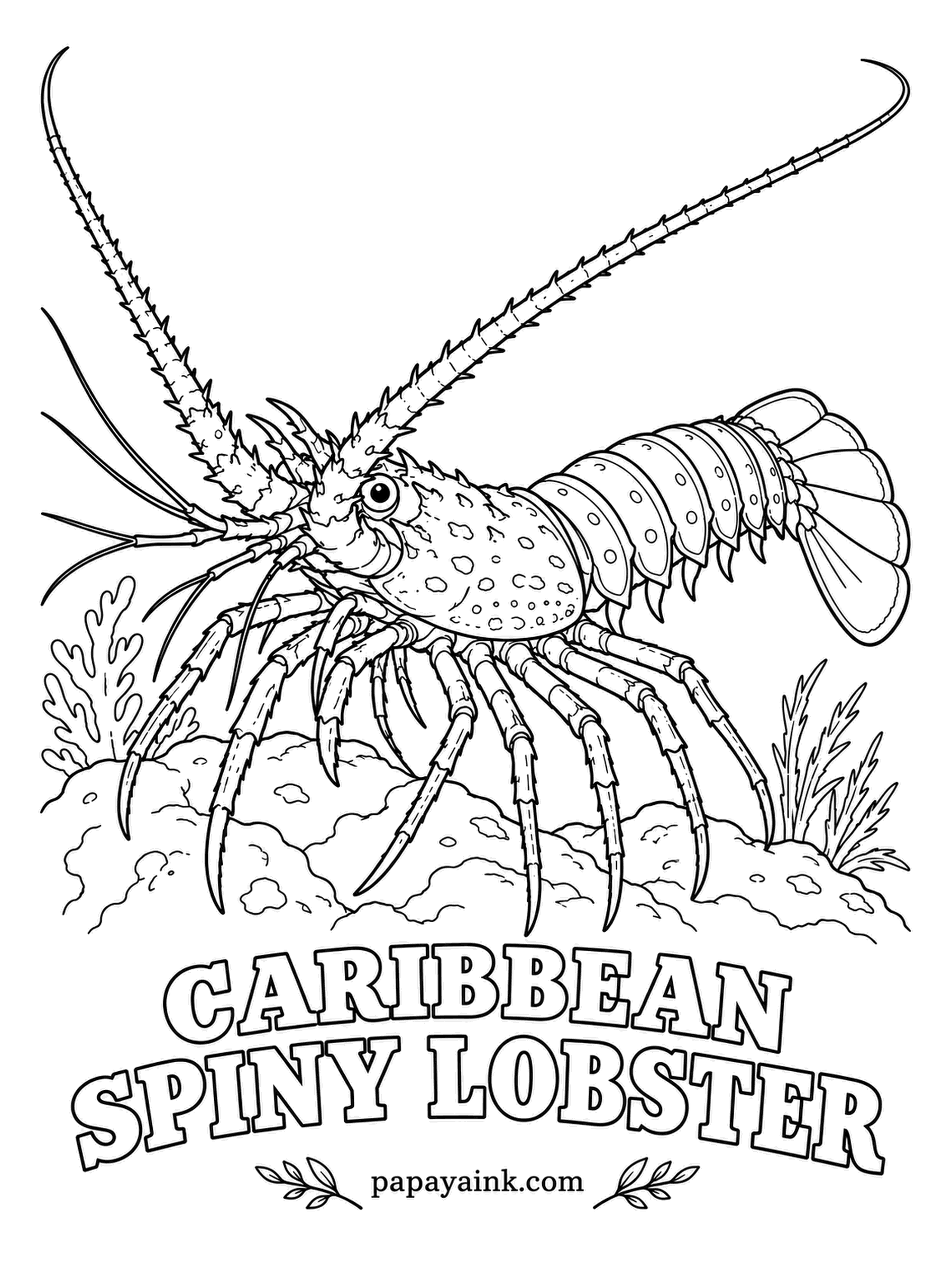 Sea Creature Coloring Pages - Claws? None. Instead it carries a forest of spines and two whip-long antennae that screech when rubbed at the base. Every autumn whole groups march across the sea floor nose to tail in single file. Rusty brown, cream spots, yellow-banded legs. Detailed.